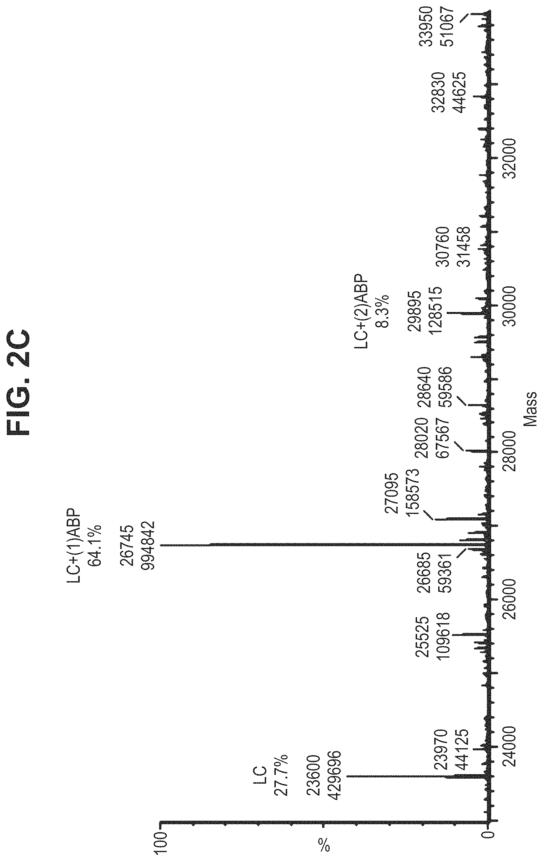 Patent US11780935 Figure 7 – Mutant antibodies and conjugation thereof