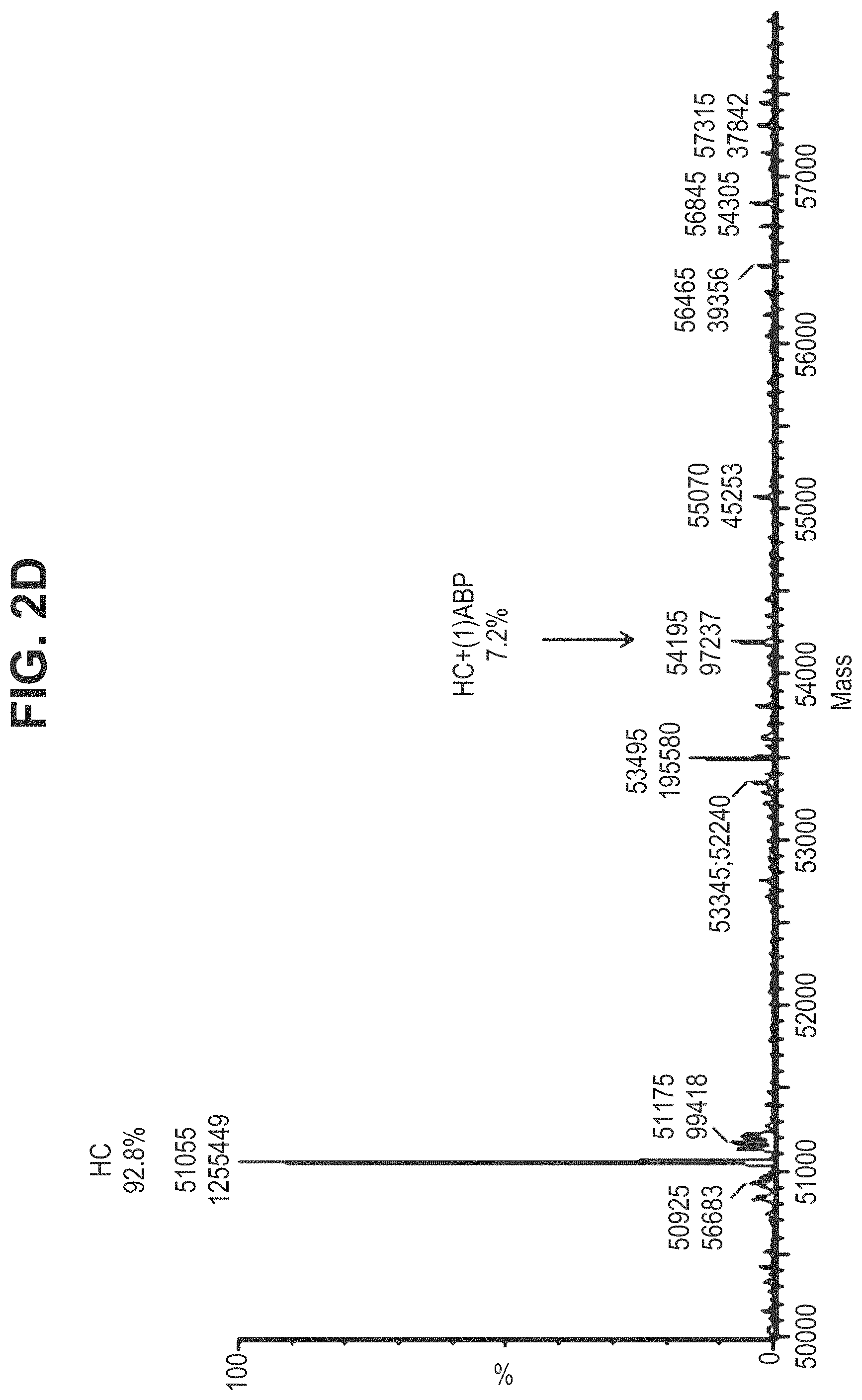 Patent US11780935 Figure 8 – Mutant antibodies and conjugation thereof