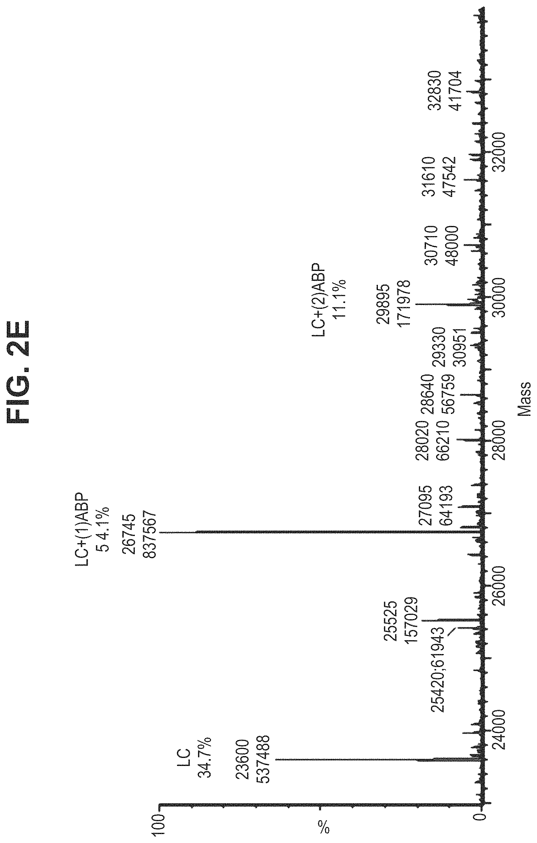 Patent US11780935 Figure 9 – Mutant antibodies and conjugation thereof