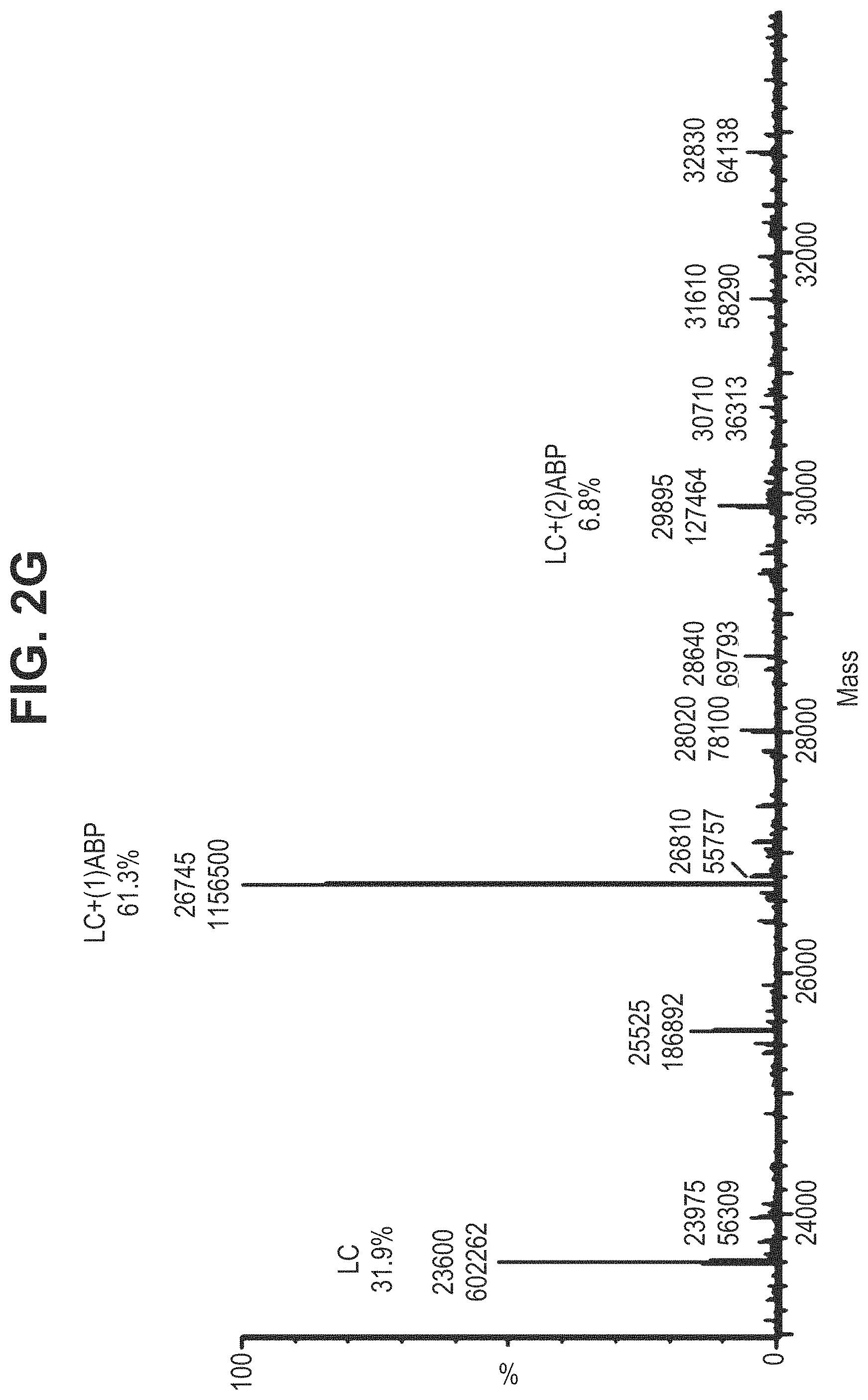 Patent US11780935 Figure 11 – Mutant antibodies and conjugation thereof