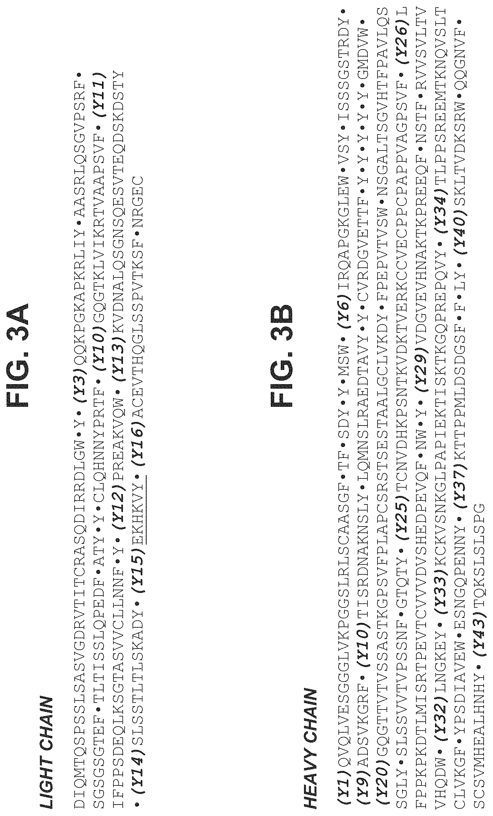 Patent US11780935 Figure 13 – Mutant antibodies and conjugation thereof