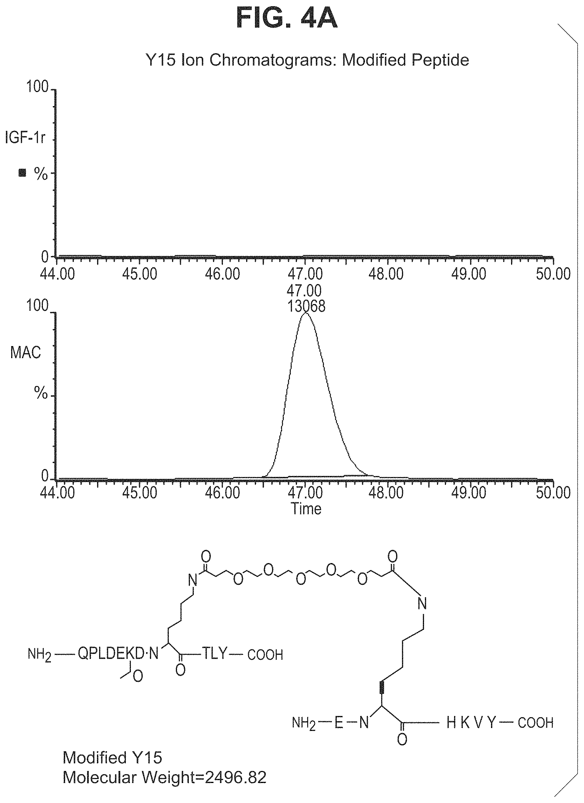 Patent US11780935 Figure 14 – Mutant antibodies and conjugation thereof