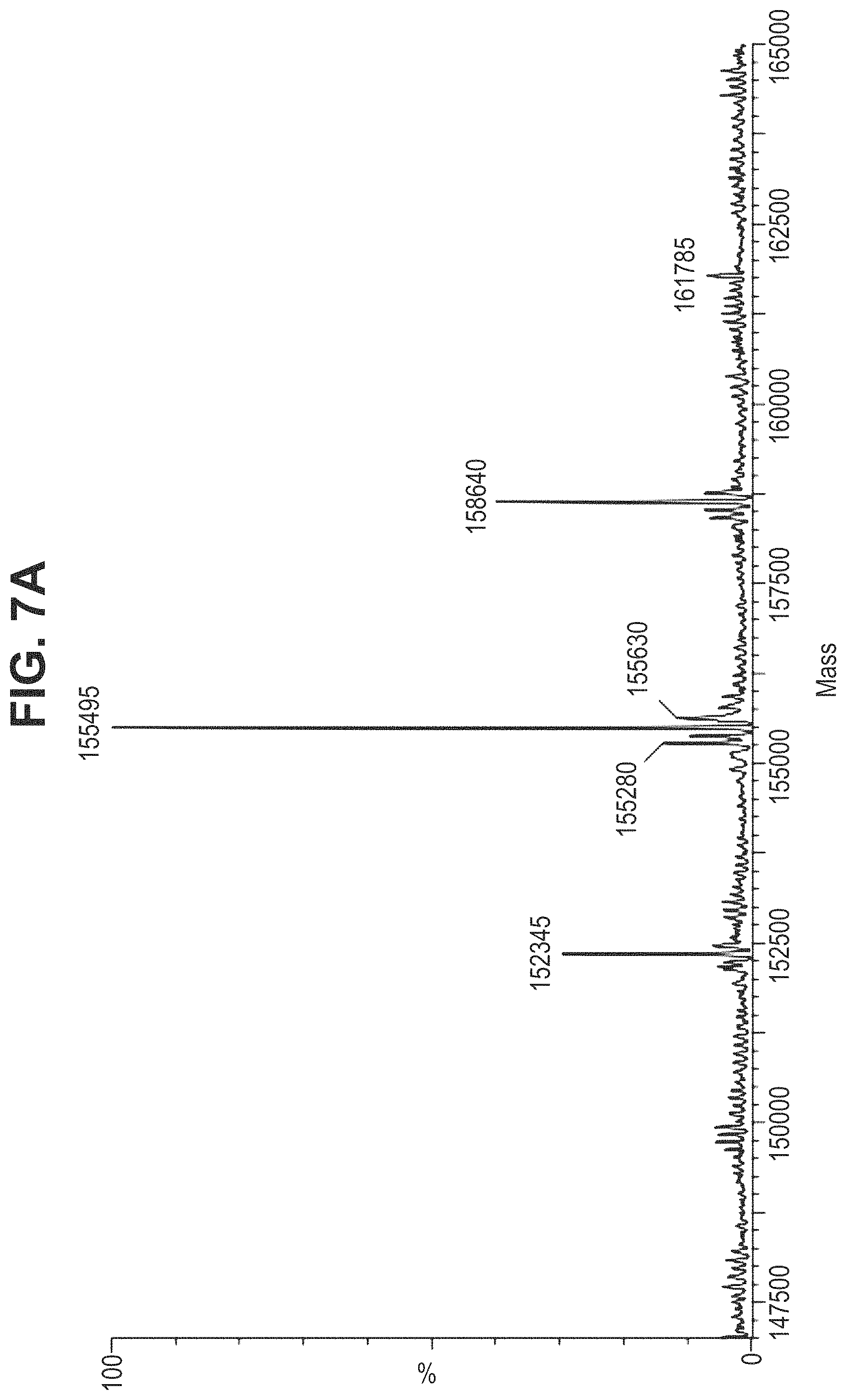 Patent US11780935 Figure 20 – Mutant antibodies and conjugation thereof