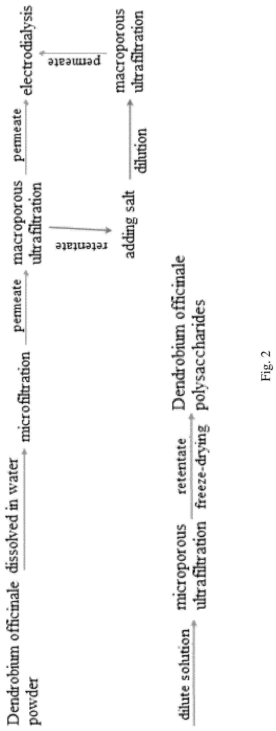 Patent US11780936 Figure 2 – Method for extracting and purifying Dendrobium officinale polysaccharides