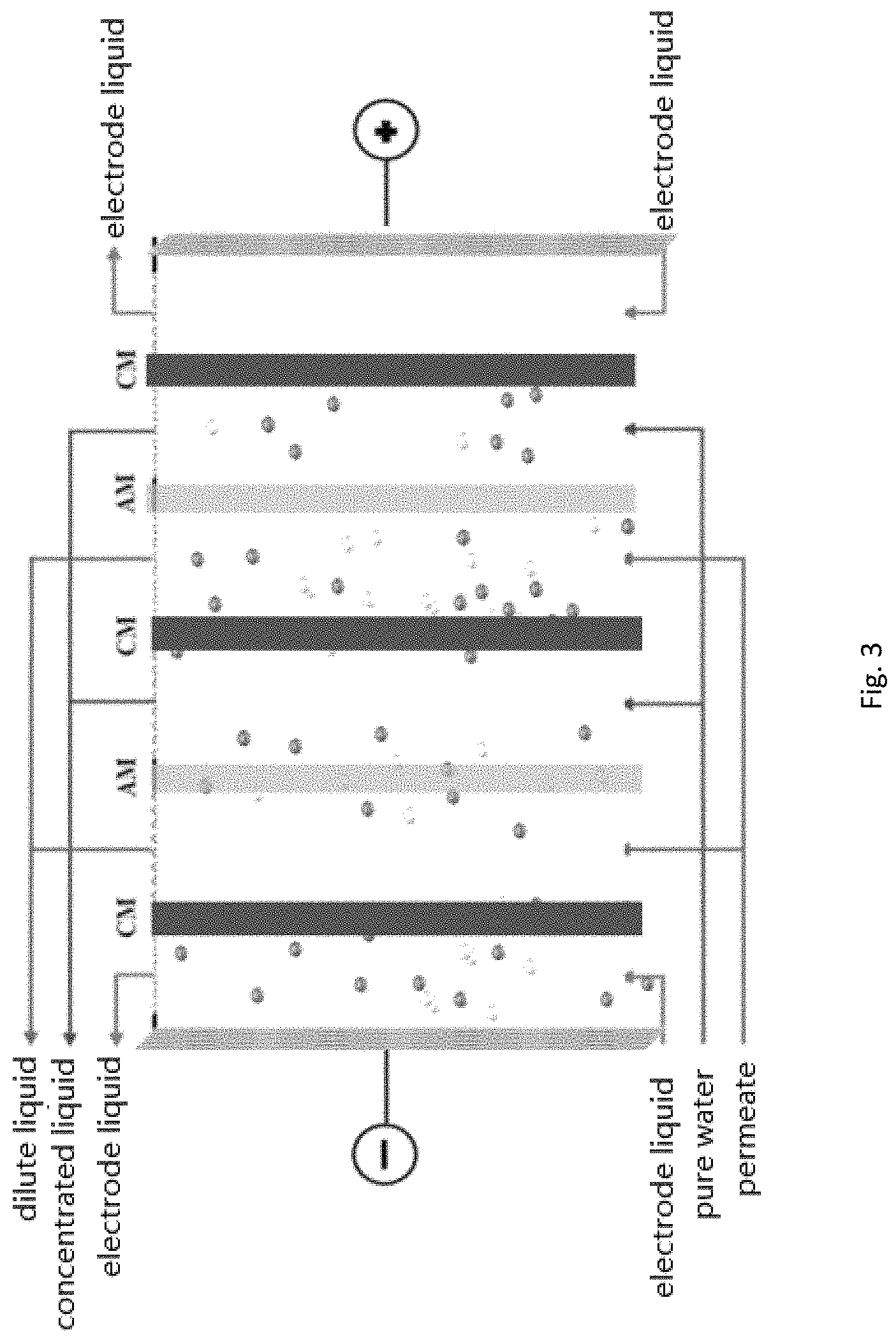 Patent US11780936 Figure 3 – Method for extracting and purifying Dendrobium officinale polysaccharides