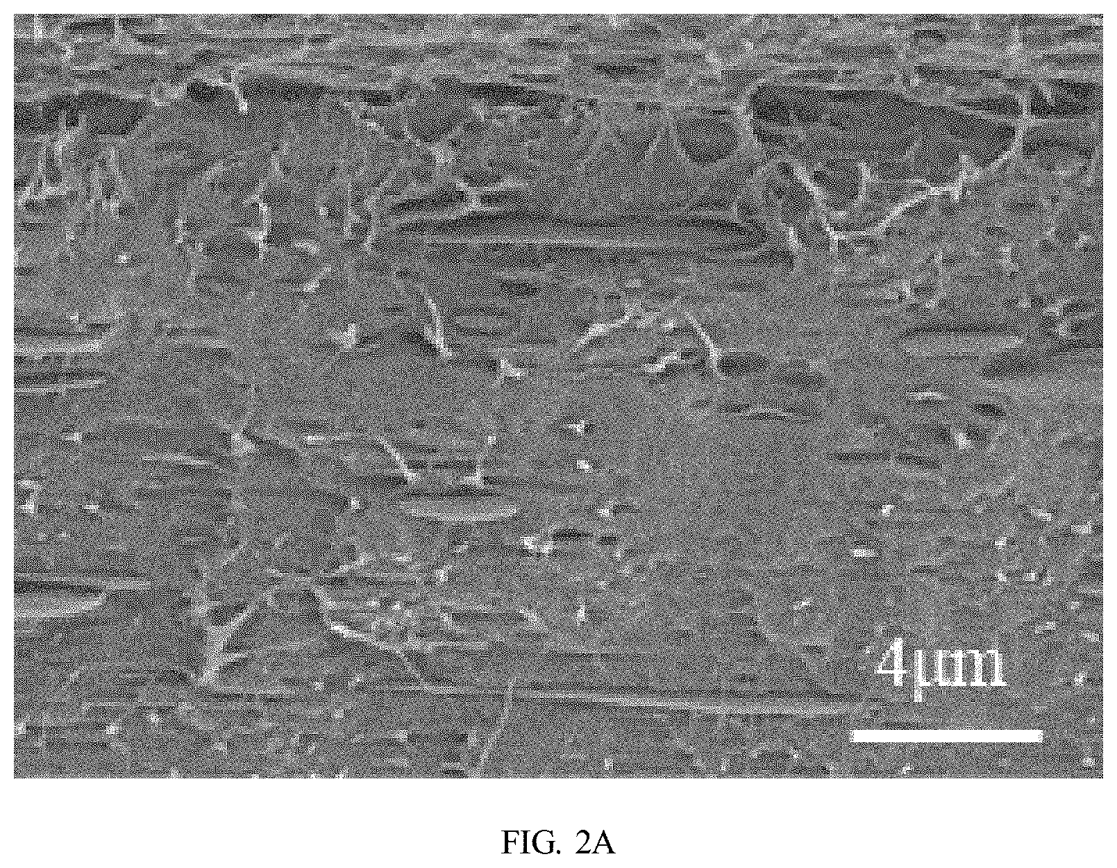 Patent US11780959 Figure 2 – Preparation method of polybutylene adipate terephthalate-polylactic acid blend films modified by epoxidized cardanol-based chain extender