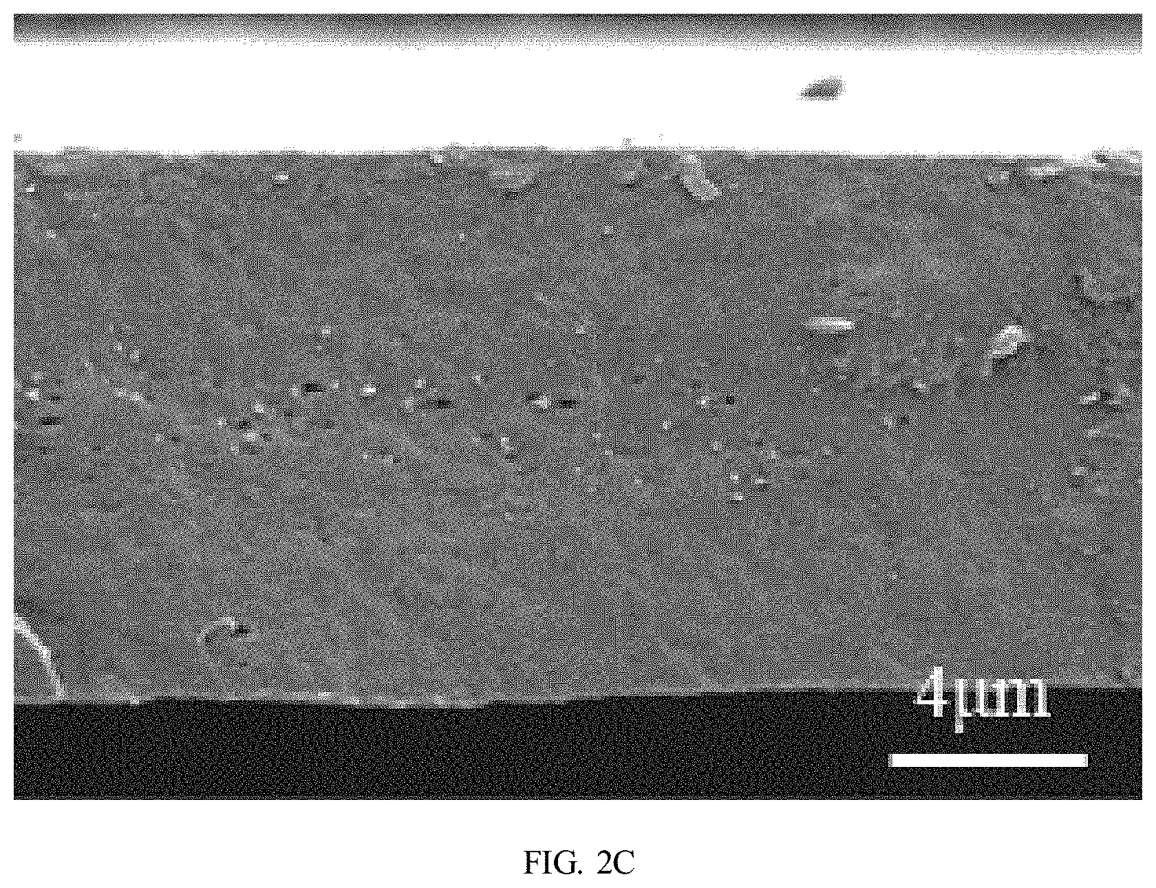 Patent US11780959 Figure 4 – Preparation method of polybutylene adipate terephthalate-polylactic acid blend films modified by epoxidized cardanol-based chain extender