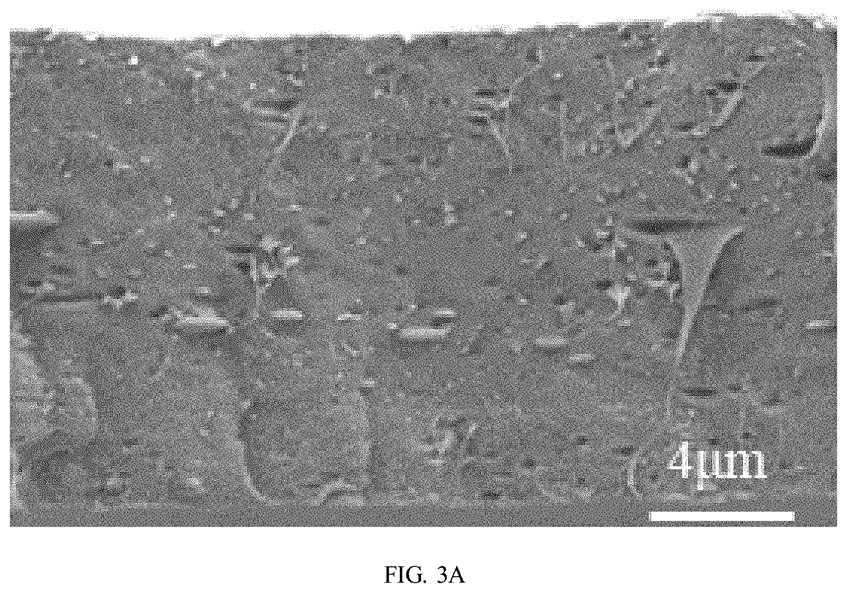 Patent US11780959 Figure 8 – Preparation method of polybutylene adipate terephthalate-polylactic acid blend films modified by epoxidized cardanol-based chain extender
