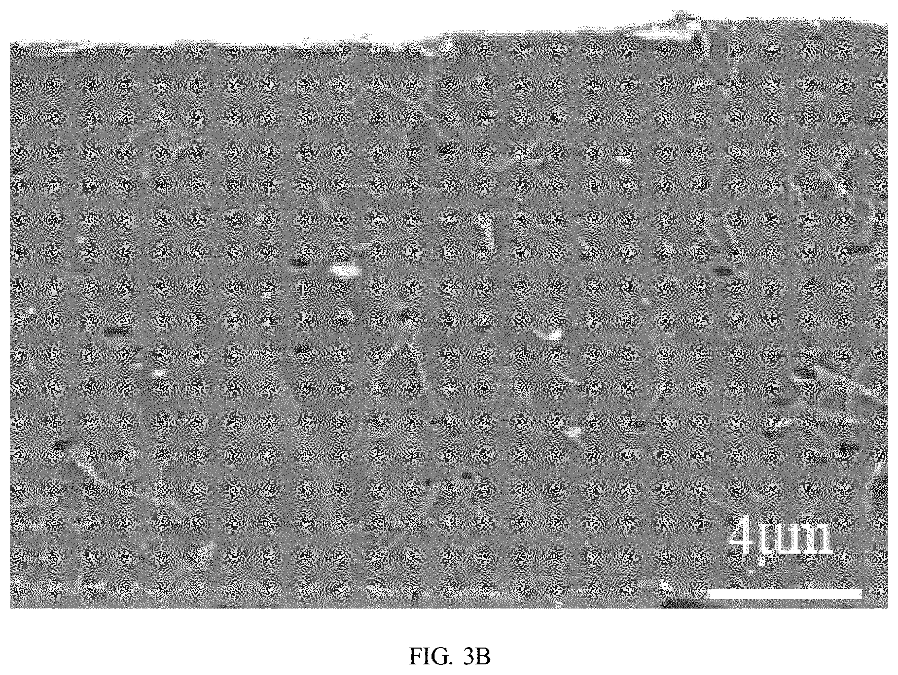 Patent US11780959 Figure 9 – Preparation method of polybutylene adipate terephthalate-polylactic acid blend films modified by epoxidized cardanol-based chain extender