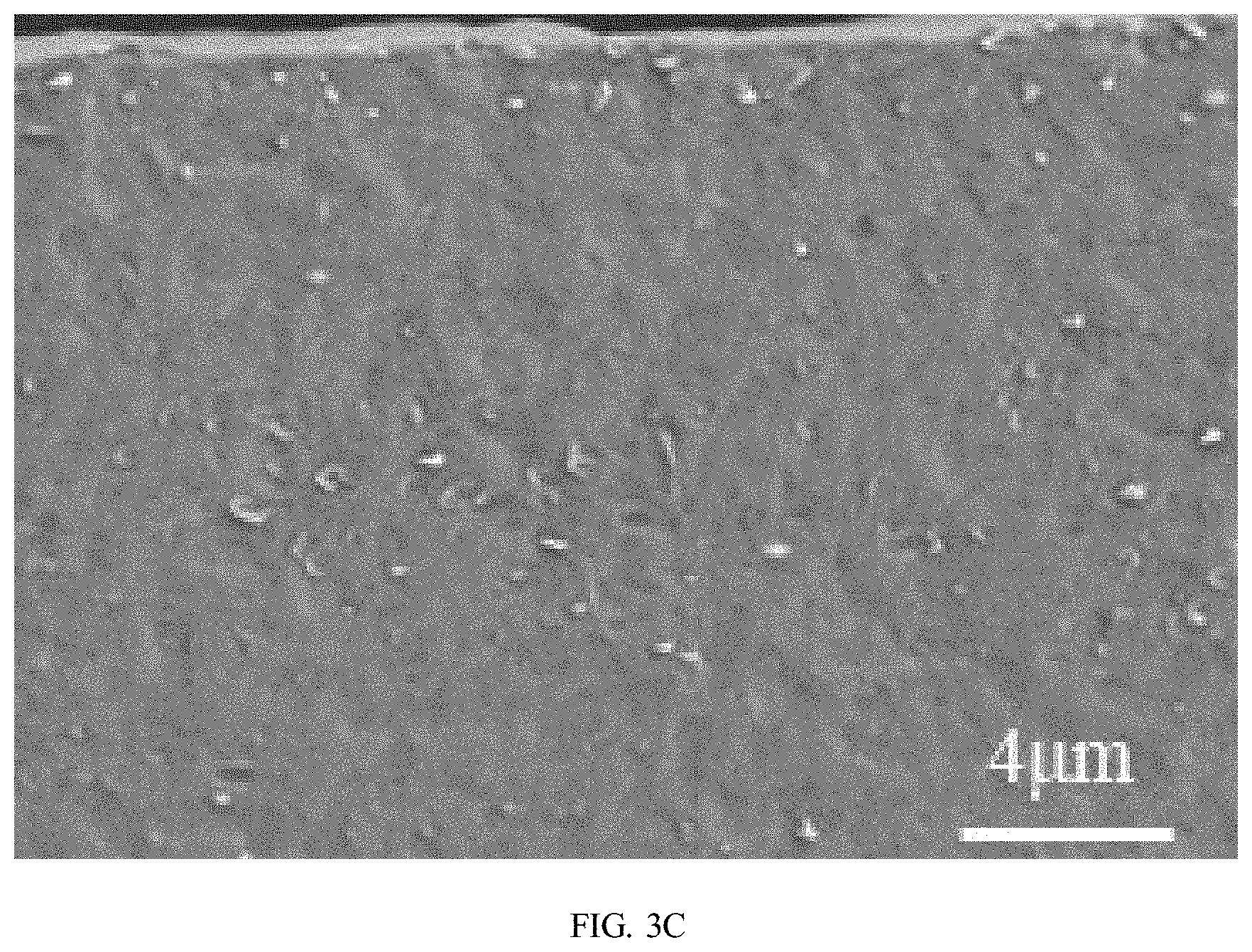 Patent US11780959 Figure 10 – Preparation method of polybutylene adipate terephthalate-polylactic acid blend films modified by epoxidized cardanol-based chain extender