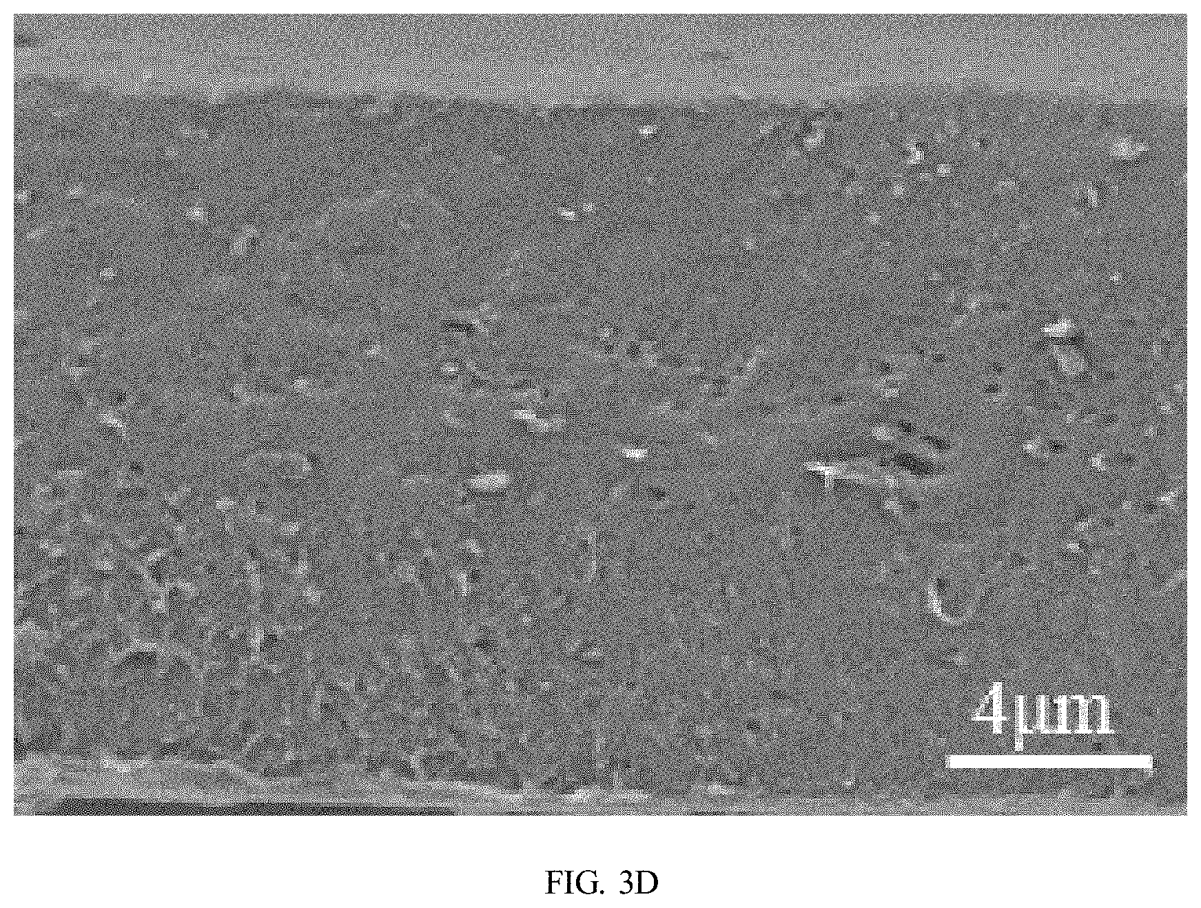 Patent US11780959 Figure 11 – Preparation method of polybutylene adipate terephthalate-polylactic acid blend films modified by epoxidized cardanol-based chain extender