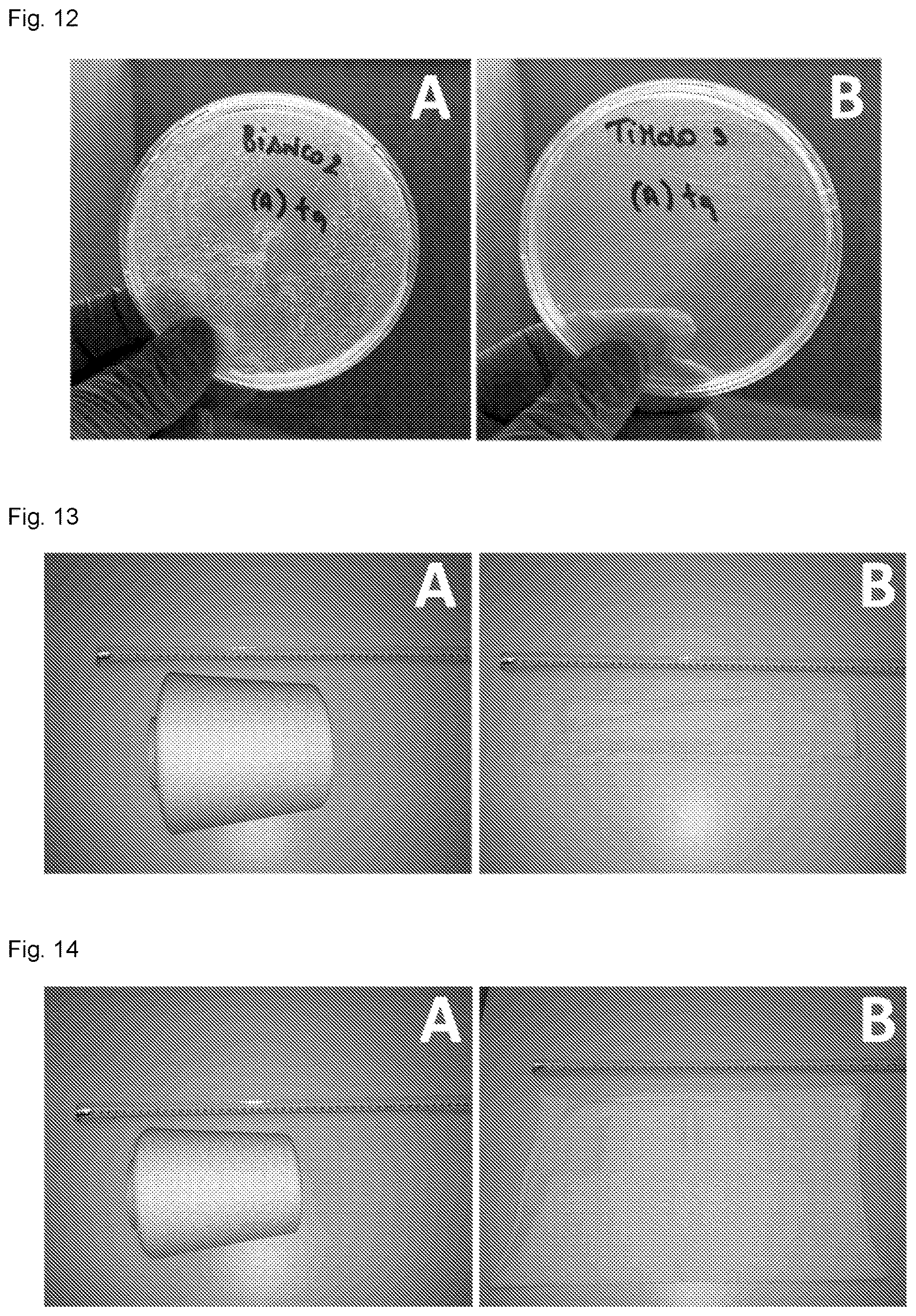 Patent US11780971 Figure 7 – Active yarns and textiles for the stabilization and controlled release of active compounds