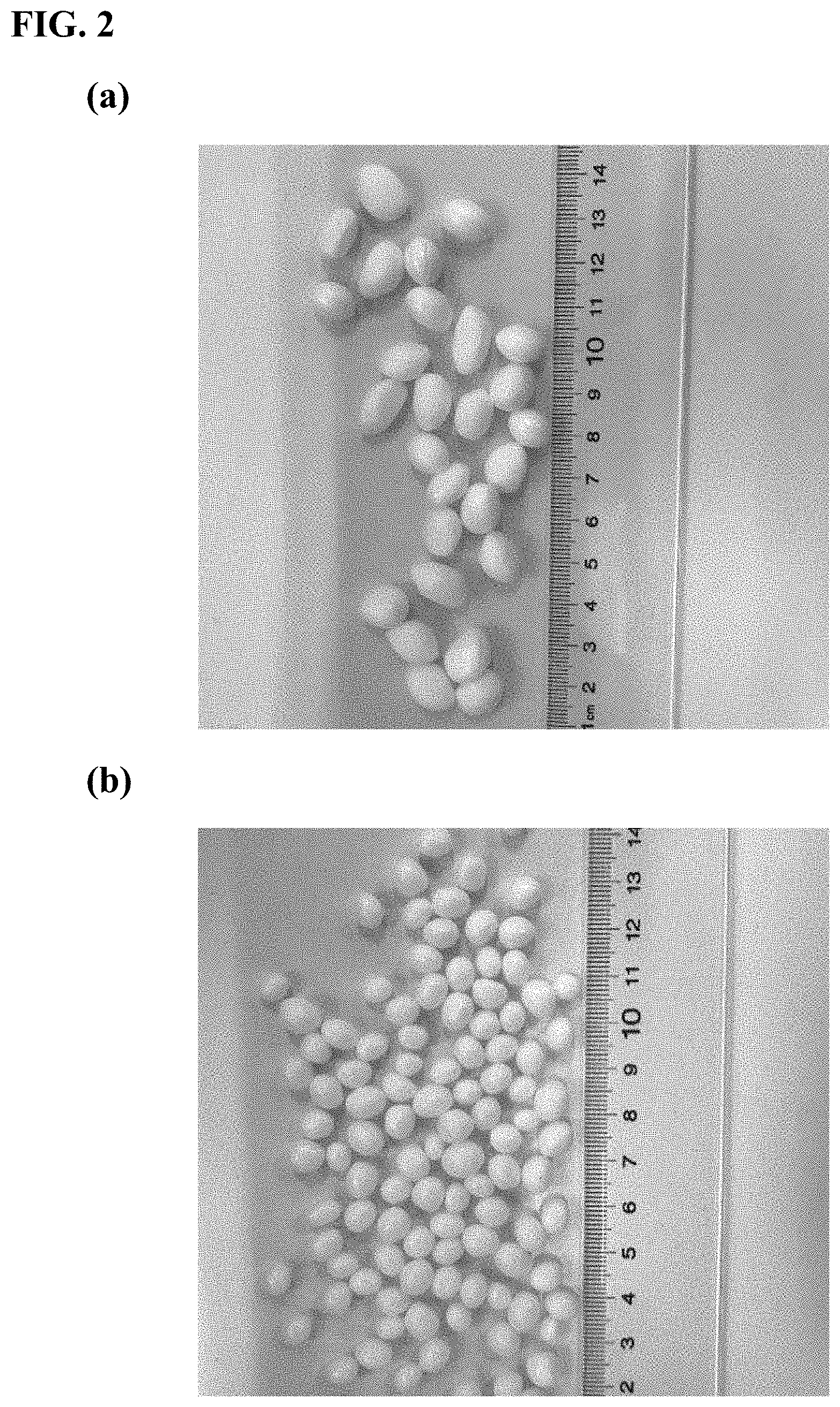 Patent US11780981 Figure 2 – Foam beads and method of making the same