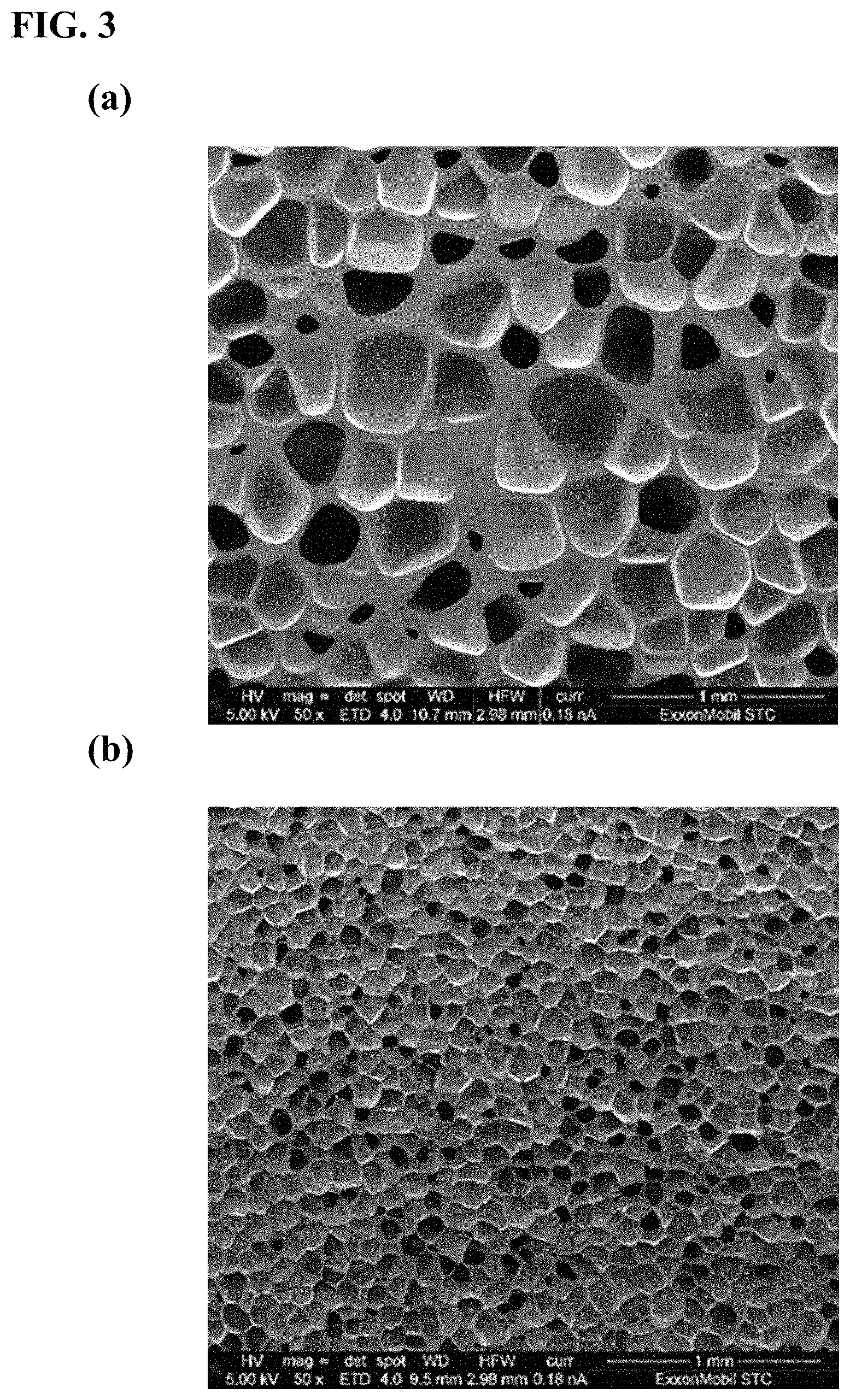 Patent US11780981 Figure 3 – Foam beads and method of making the same