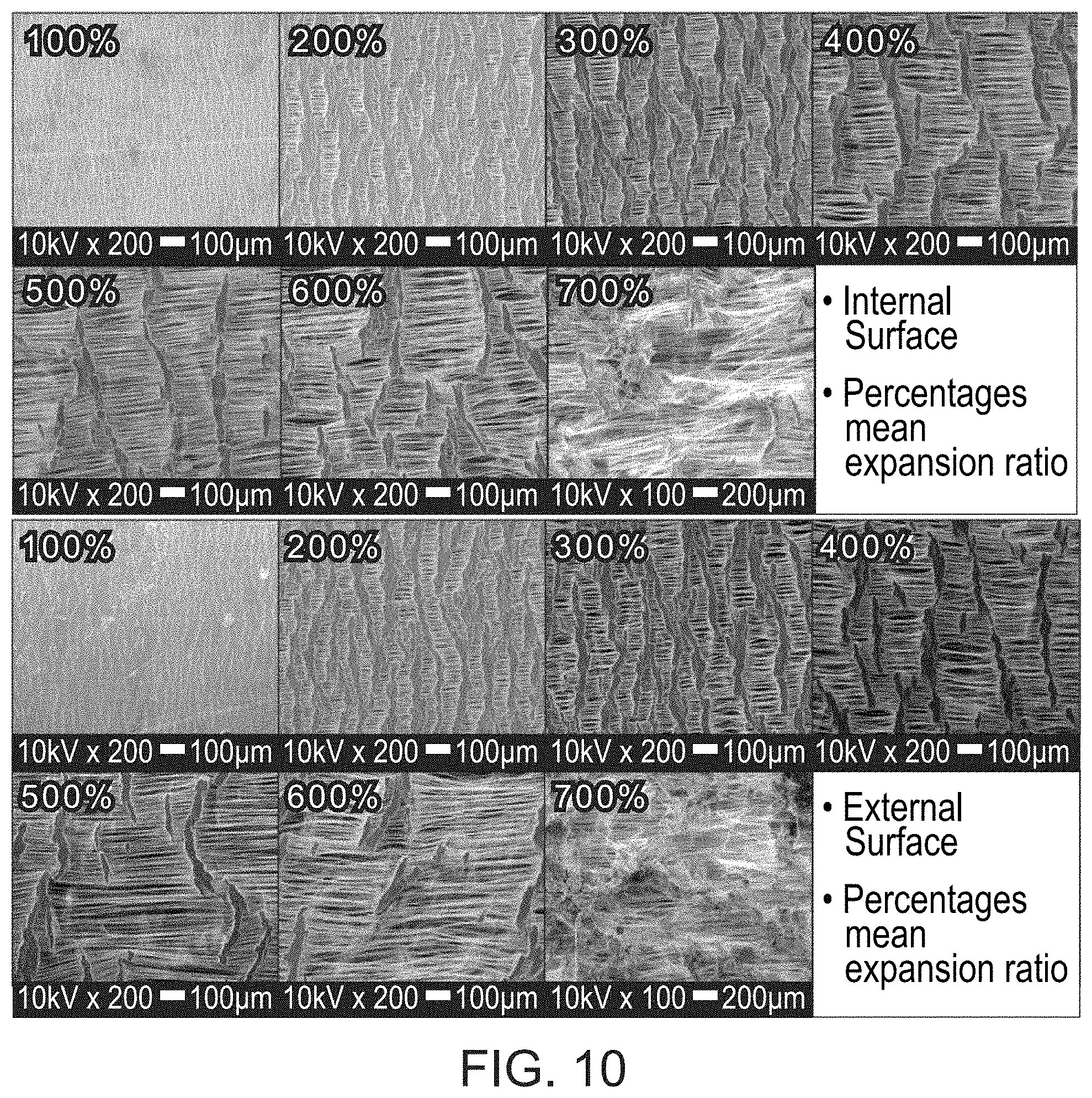 Patent US11780982 Figure 6 – Green fabrication of polytetrafluoroethylene and expanded polytetrafluoroethylene and uses thereof