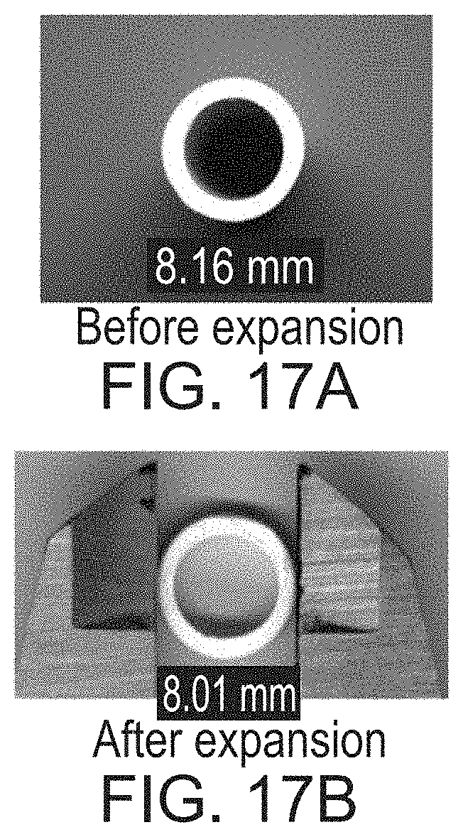 Patent US11780982 Figure 12 – Green fabrication of polytetrafluoroethylene and expanded polytetrafluoroethylene and uses thereof