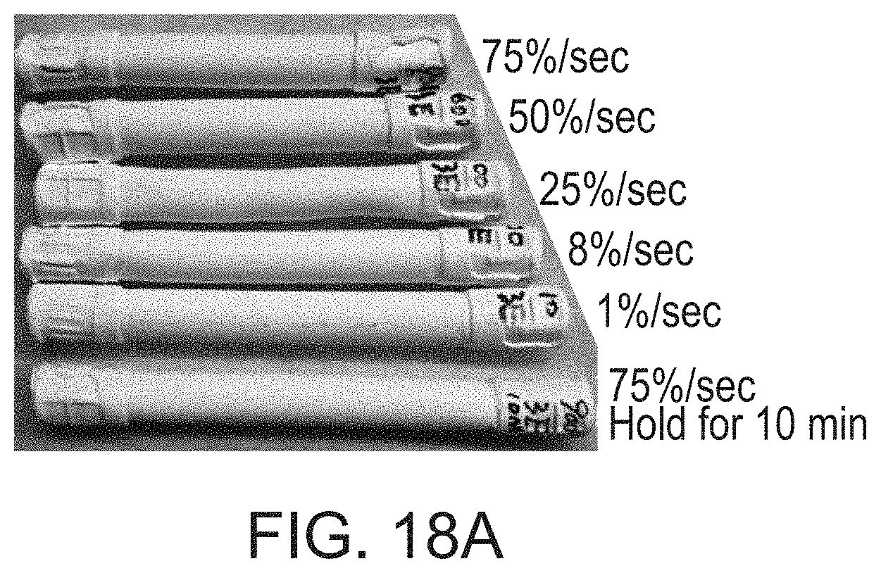 Patent US11780982 Figure 14 – Green fabrication of polytetrafluoroethylene and expanded polytetrafluoroethylene and uses thereof