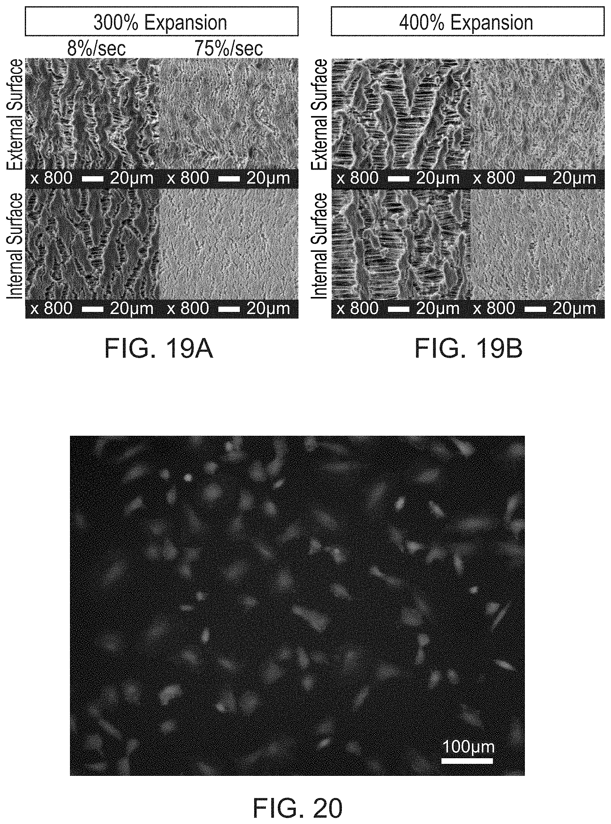 Patent US11780982 Figure 16 – Green fabrication of polytetrafluoroethylene and expanded polytetrafluoroethylene and uses thereof