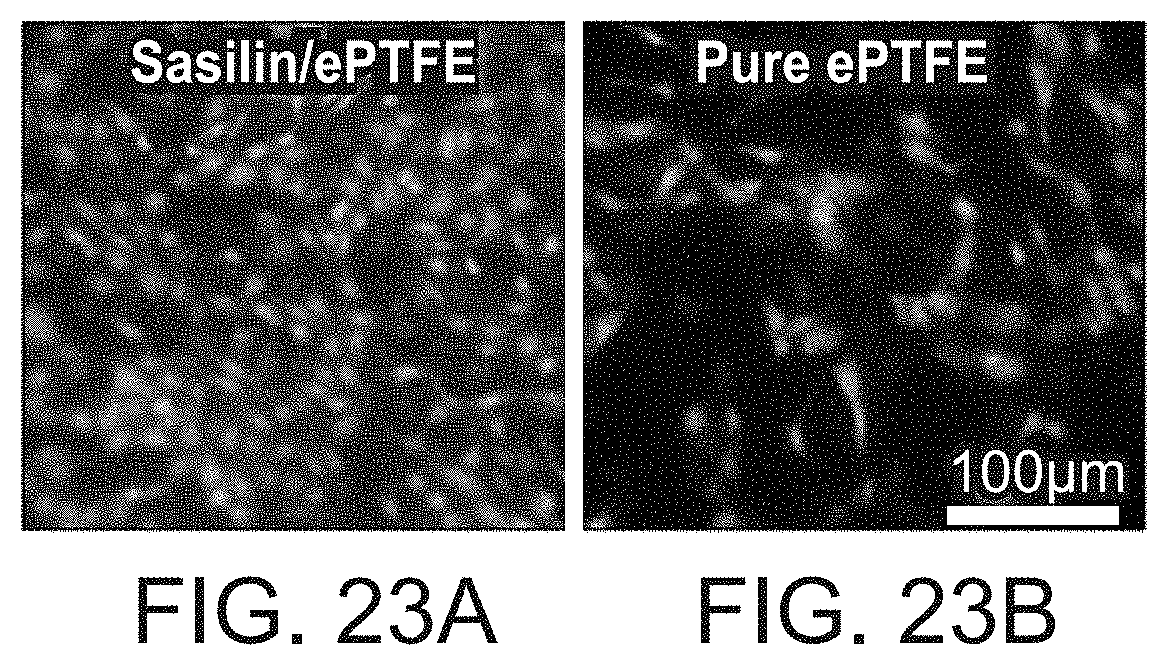 Patent US11780982 Figure 18 – Green fabrication of polytetrafluoroethylene and expanded polytetrafluoroethylene and uses thereof
