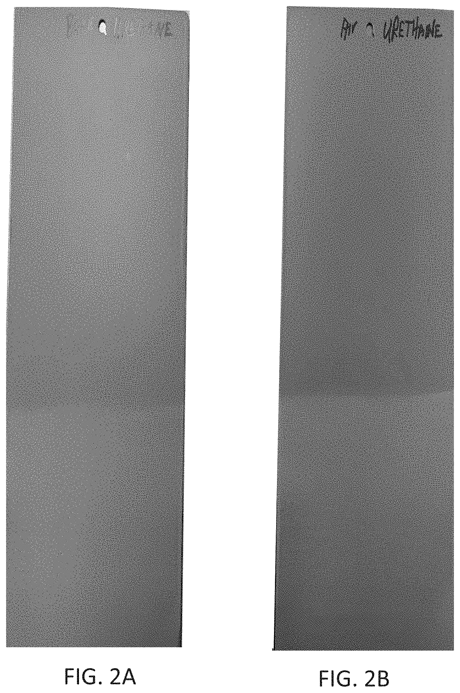 Patent US11781023 Figure 2 – Primer with internal guide coat