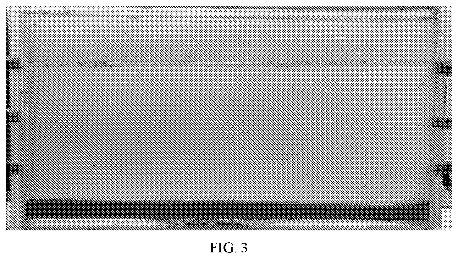 Patent US11781062 Figure 3 – Bionics-based efficiently transported and packed proppant and preparation method thereof