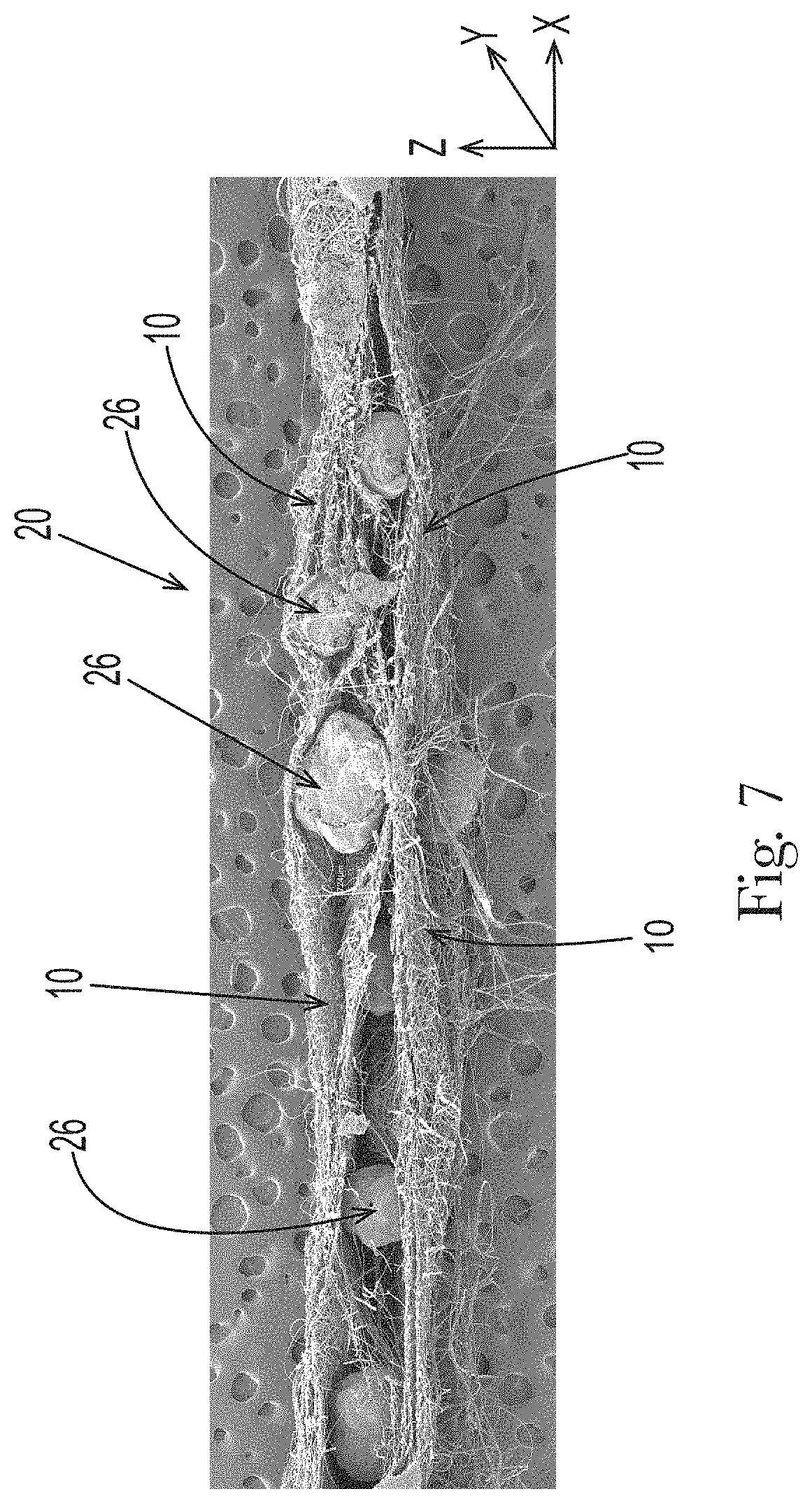 Patent US11781095 Figure 5 – Active agent-containing articles