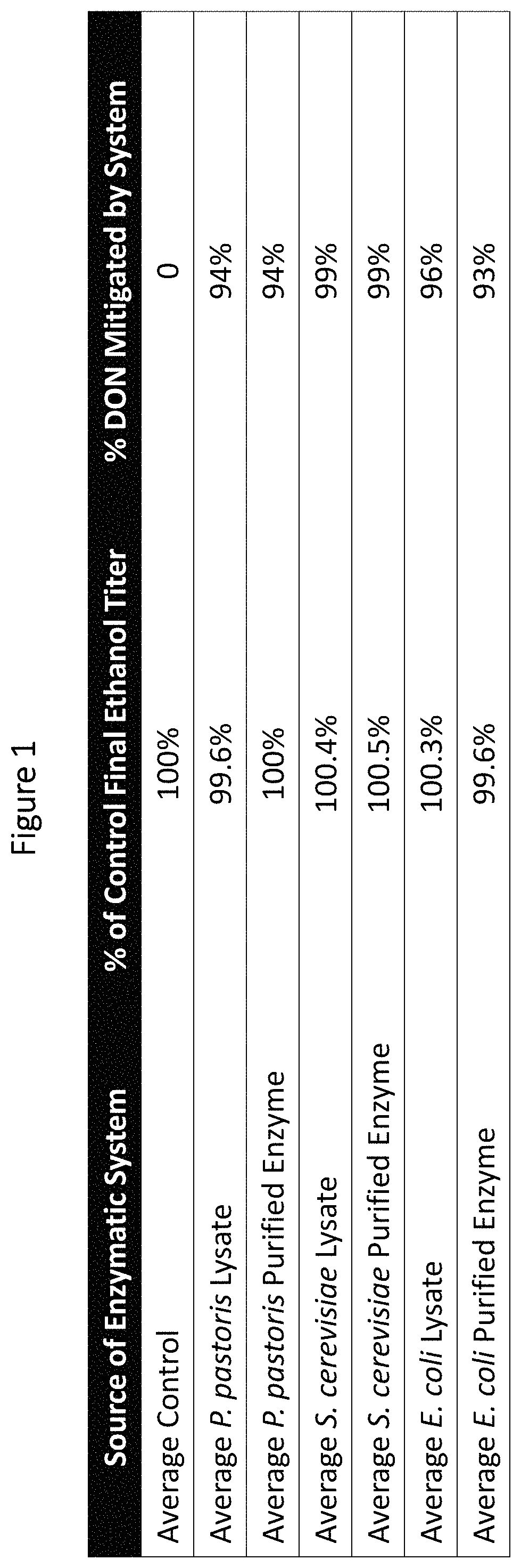 Patent US11781096 Figure 1 – Enzymatic degradation of mycotoxins during grain processing