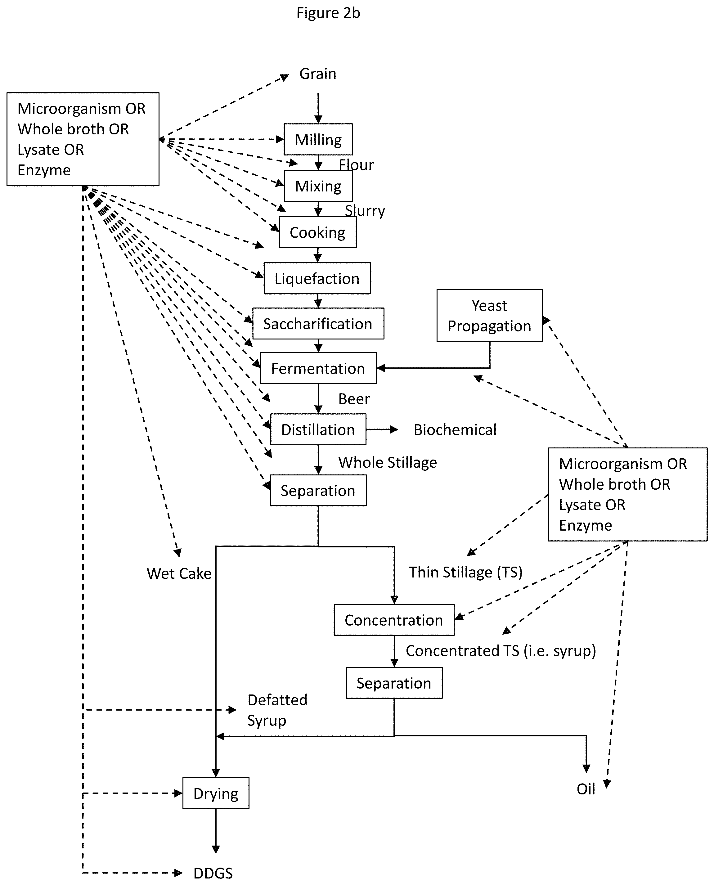 Patent US11781096 Figure 3 – Enzymatic degradation of mycotoxins during grain processing