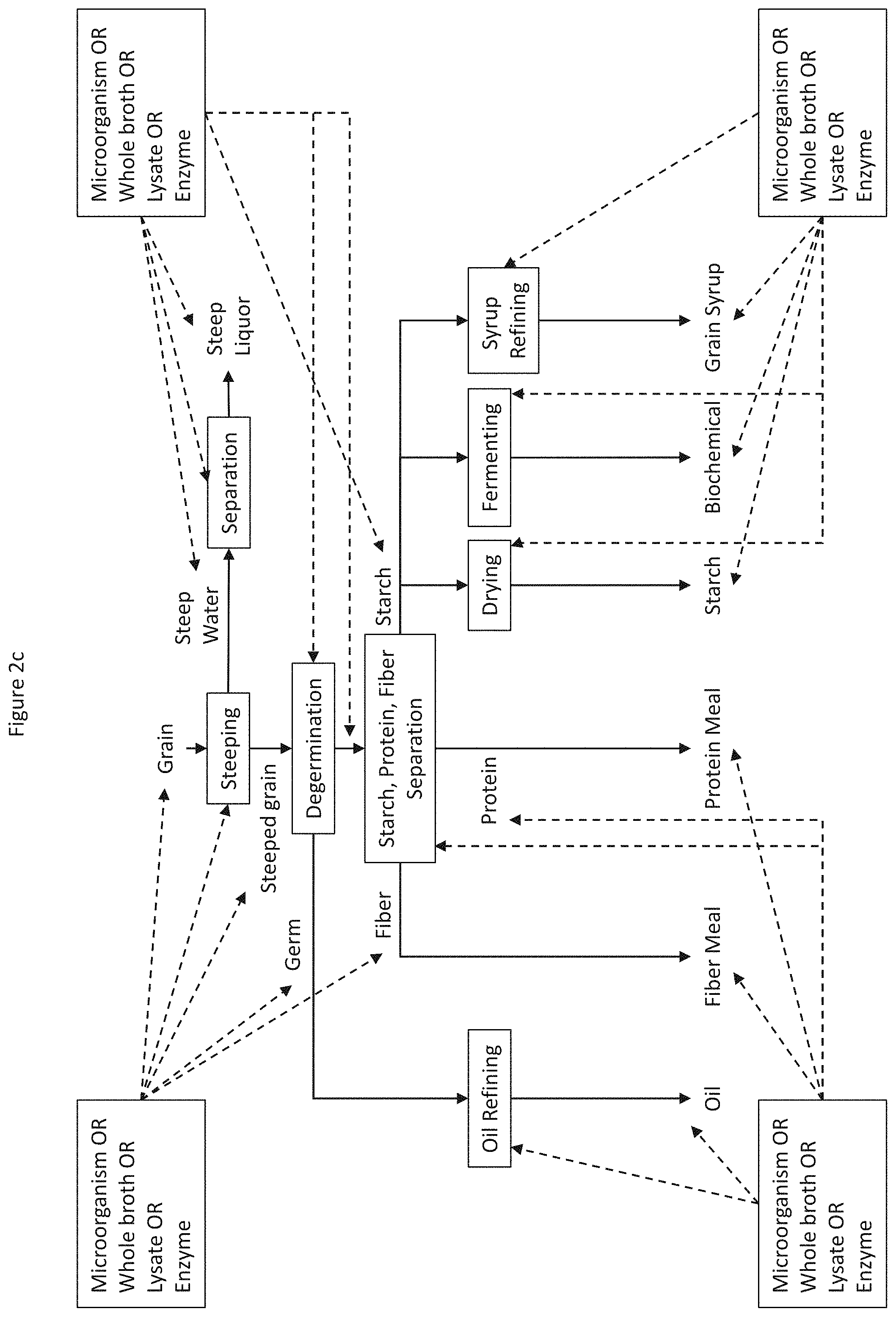 Patent US11781096 Figure 4 – Enzymatic degradation of mycotoxins during grain processing
