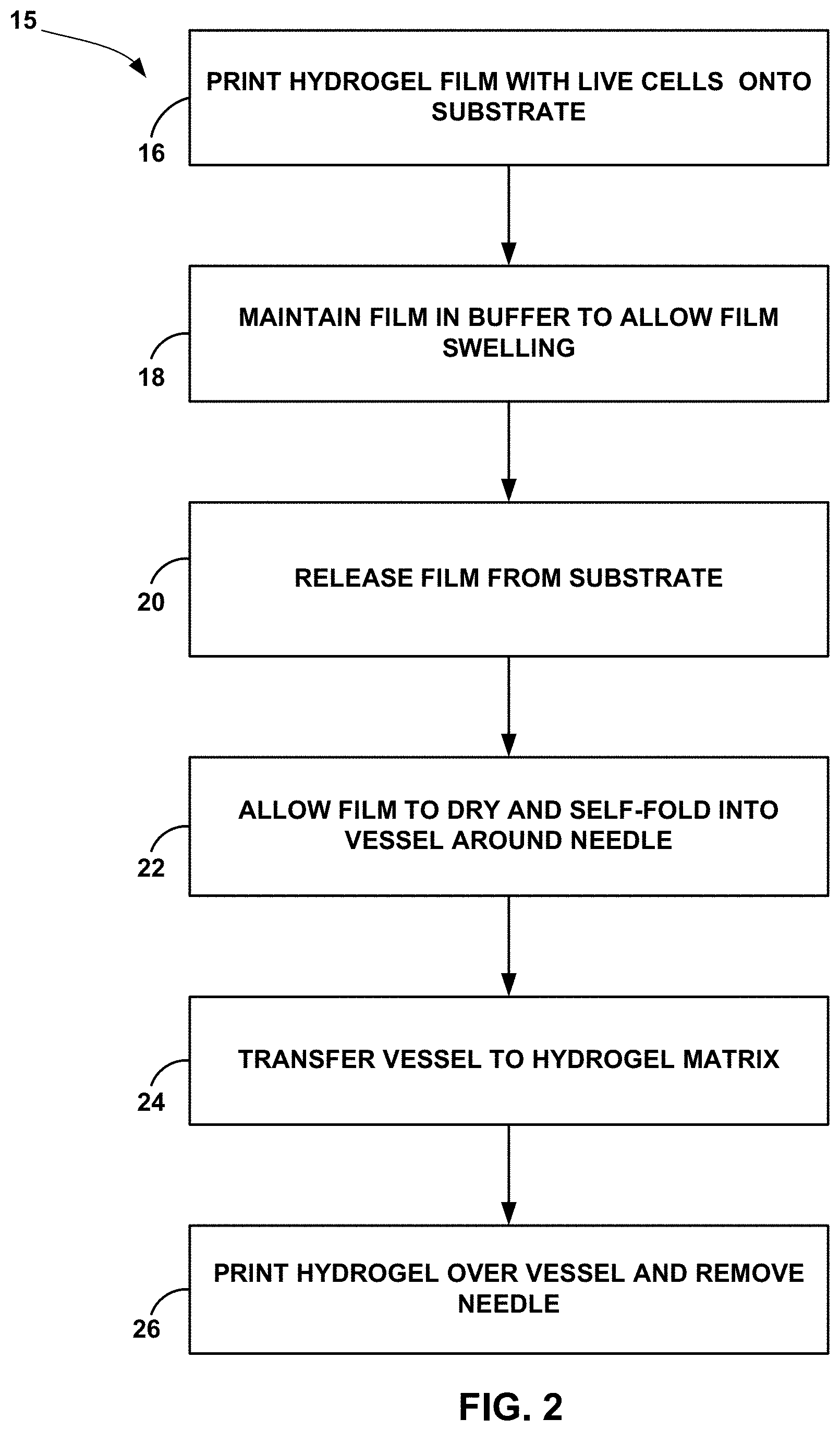Patent US11781101 Figure 2 – 3D-printed models of biological microenvironments