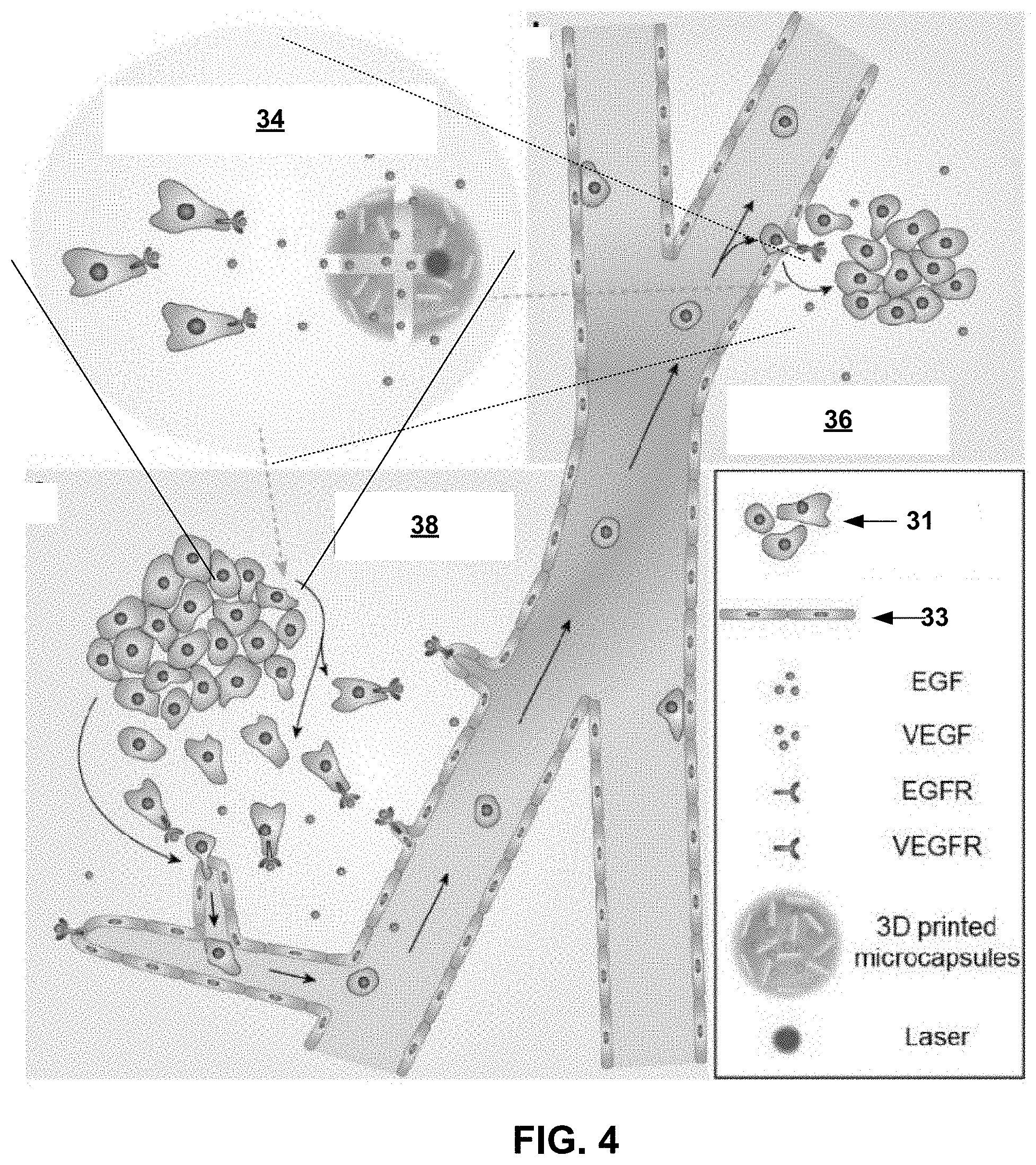 Patent US11781101 Figure 4 – 3D-printed models of biological microenvironments