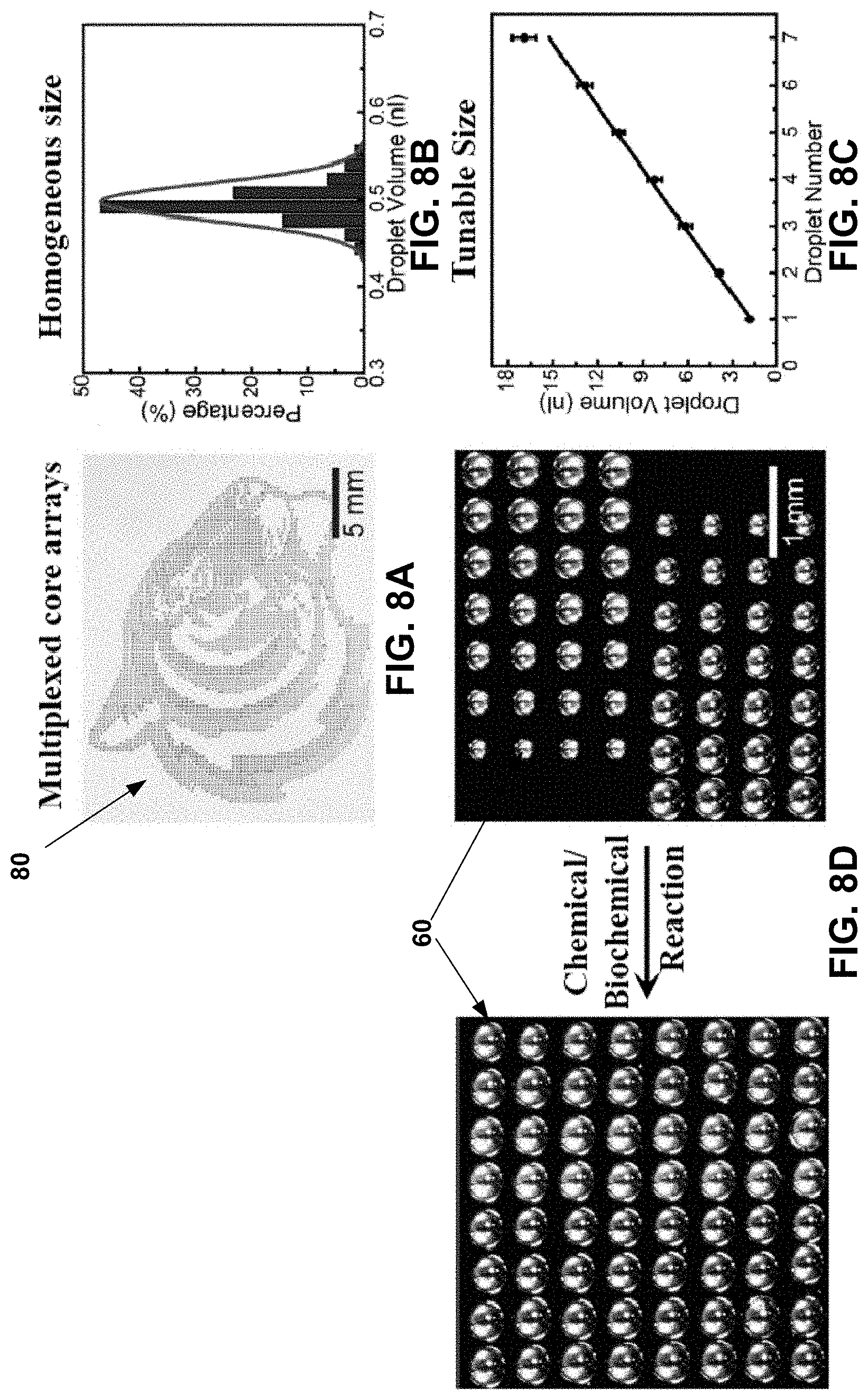 Patent US11781101 Figure 8 – 3D-printed models of biological microenvironments