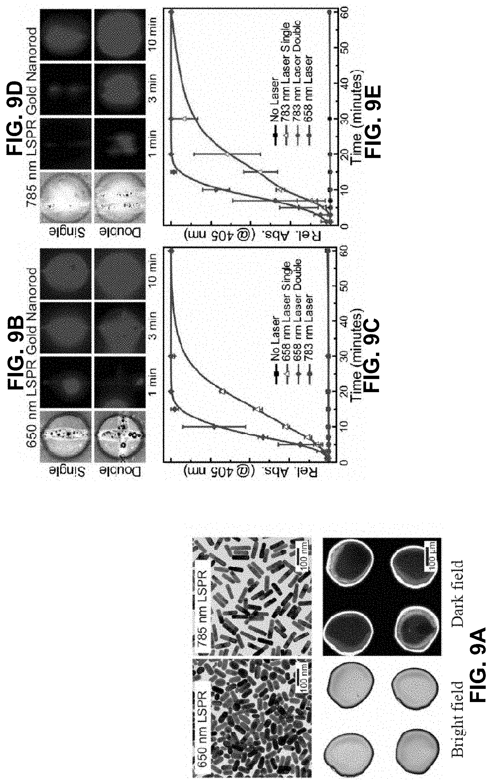 Patent US11781101 Figure 9 – 3D-printed models of biological microenvironments