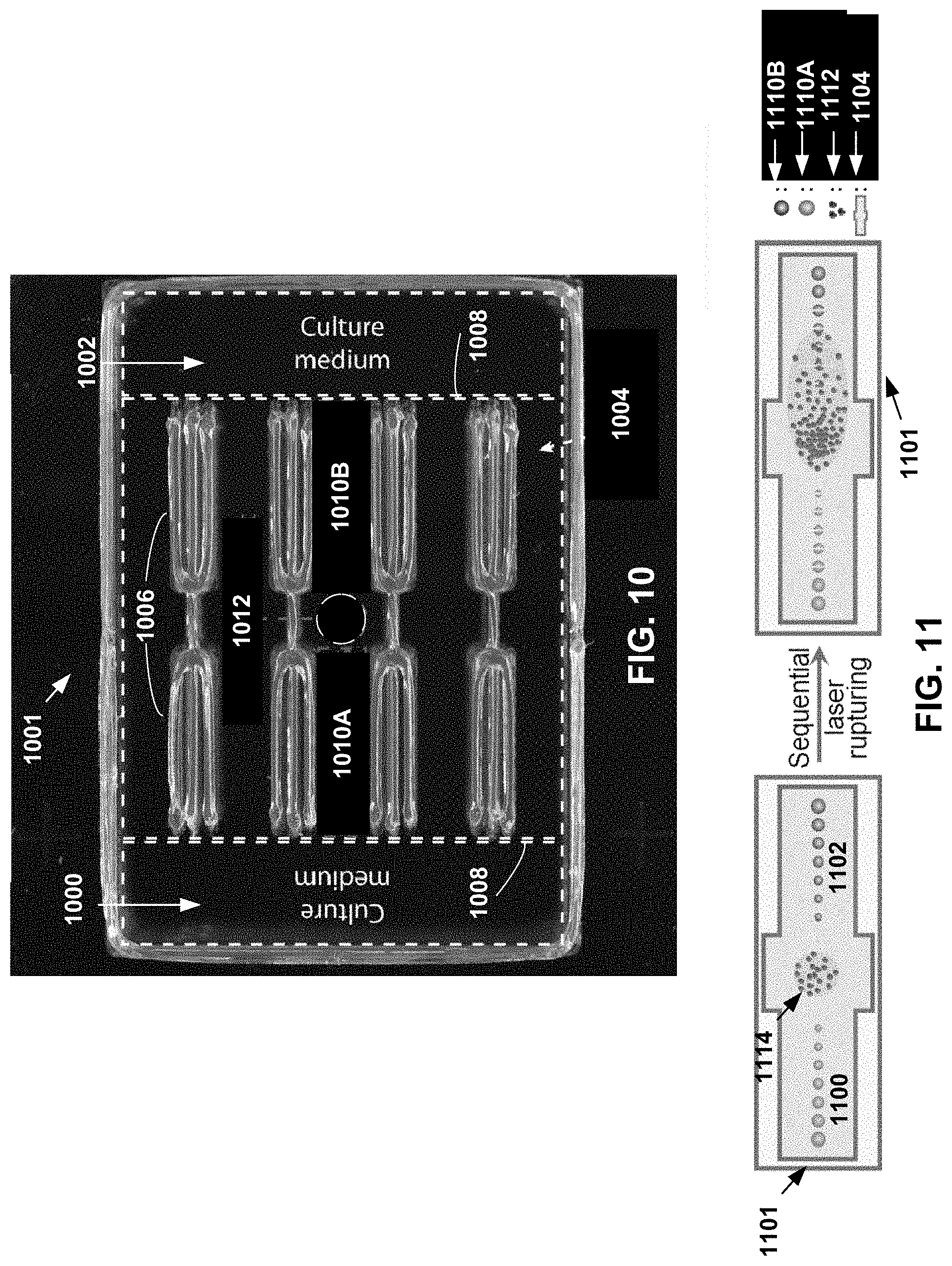Patent US11781101 Figure 10 – 3D-printed models of biological microenvironments