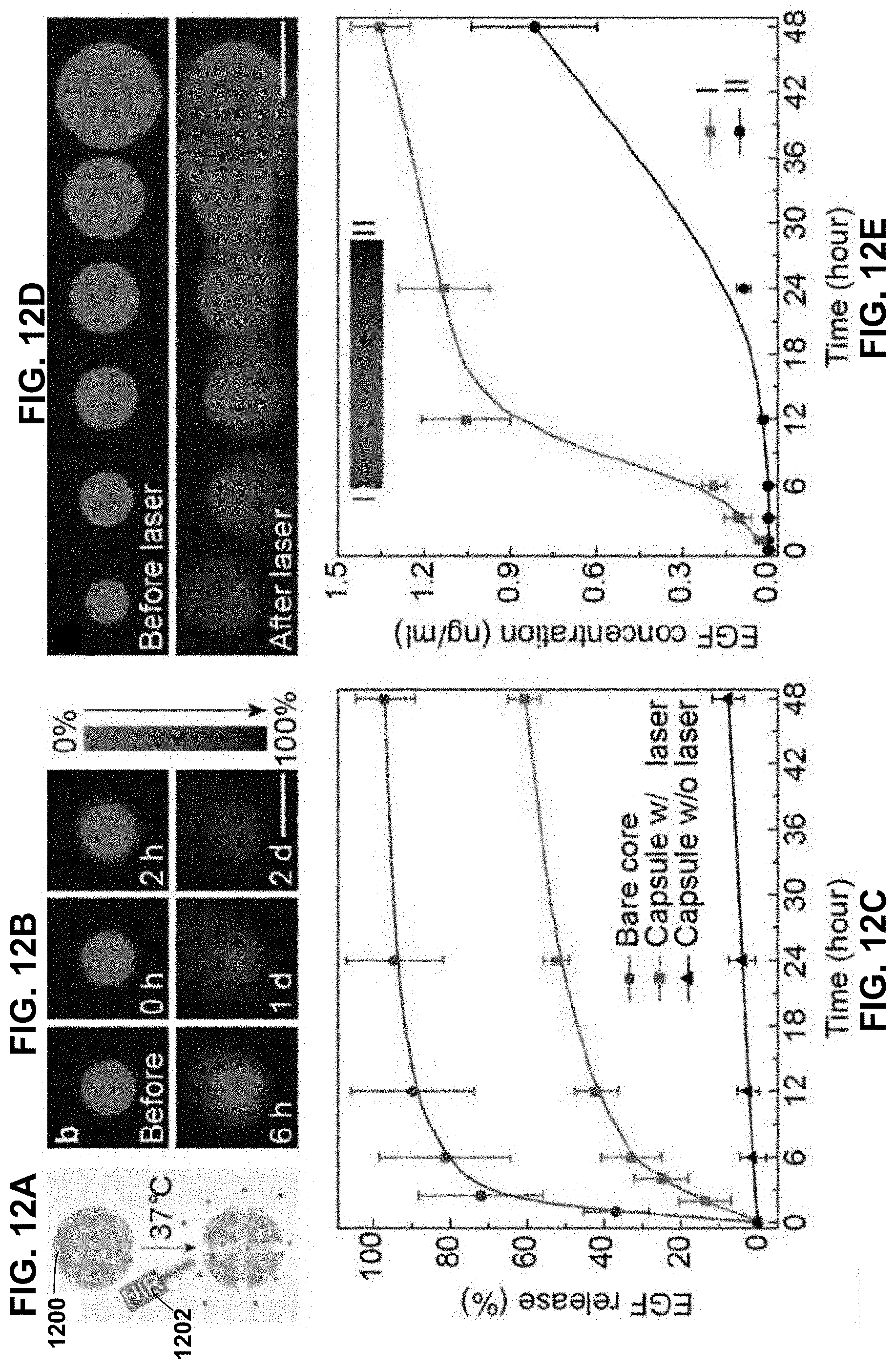 Patent US11781101 Figure 11 – 3D-printed models of biological microenvironments