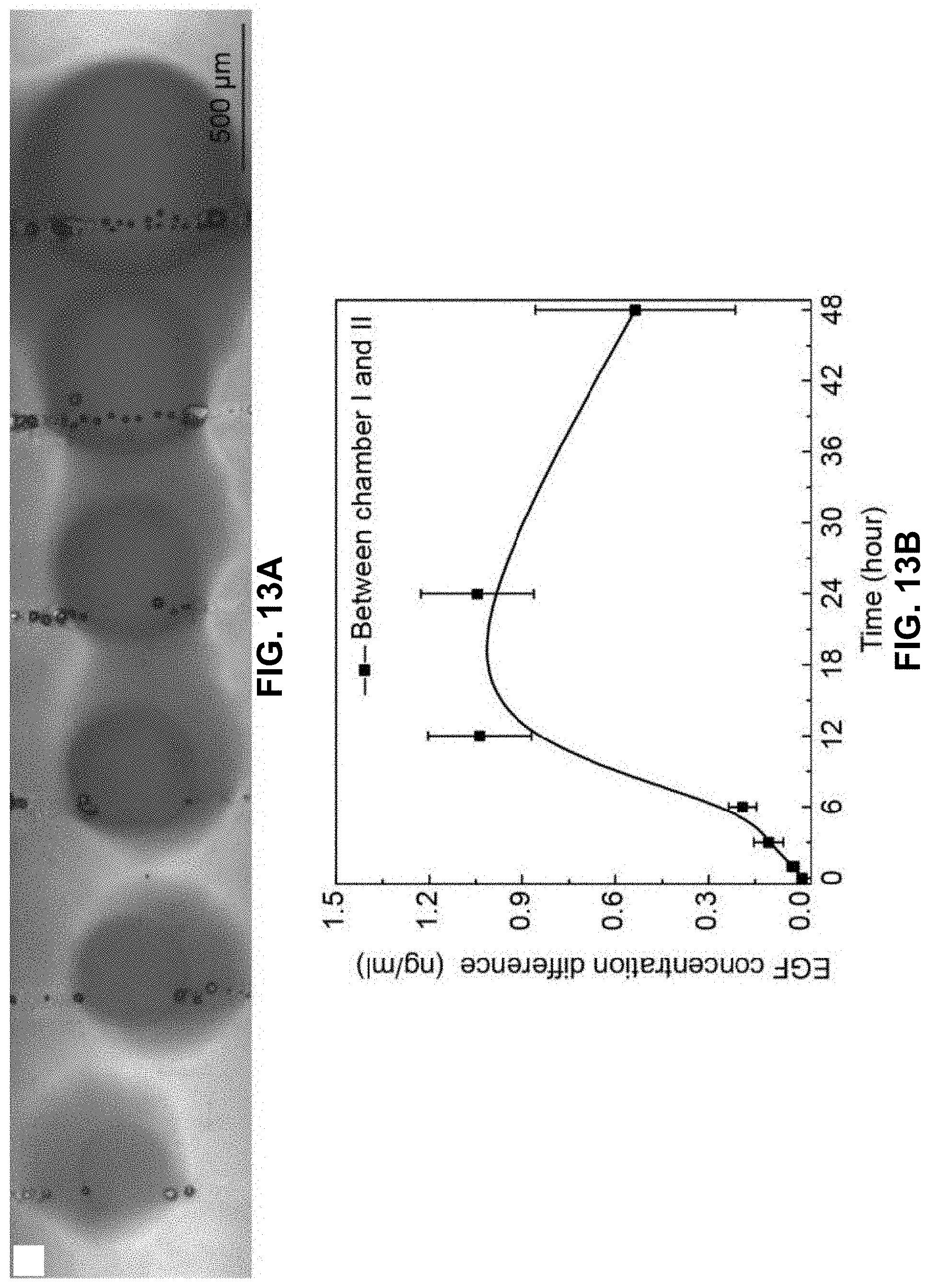 Patent US11781101 Figure 12 – 3D-printed models of biological microenvironments