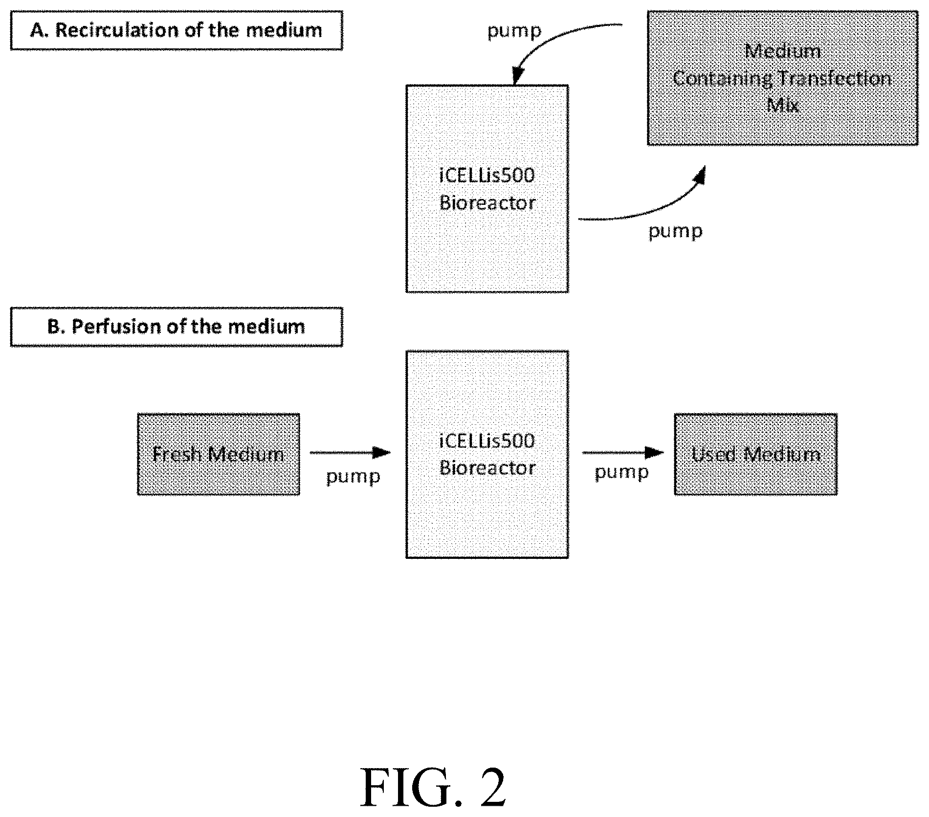 Patent US11781102 Figure 2 – Large-scale PEI-mediated plasmid transfection