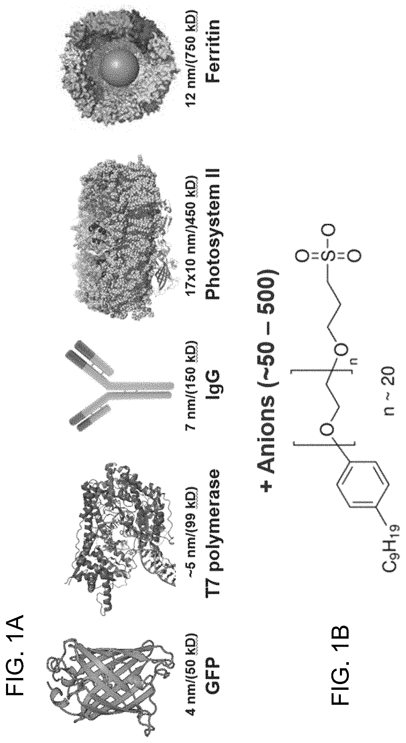 Patent US11781106 Figure 1 – Intracellular non-genetic modification of microorganisms using protein ionic liquids
