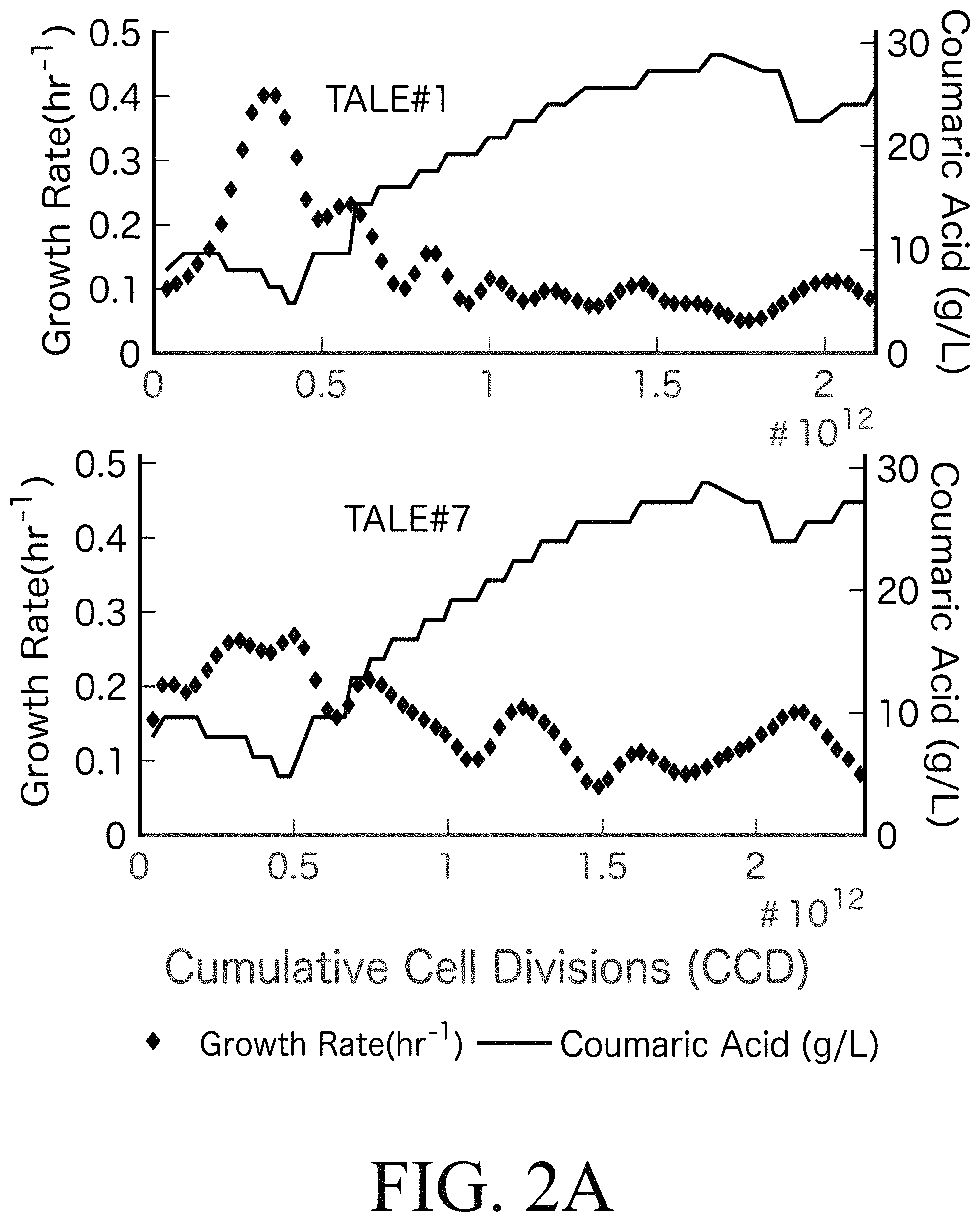 Patent US11781107 Figure 2 – Microorganisms engineered for muconate production