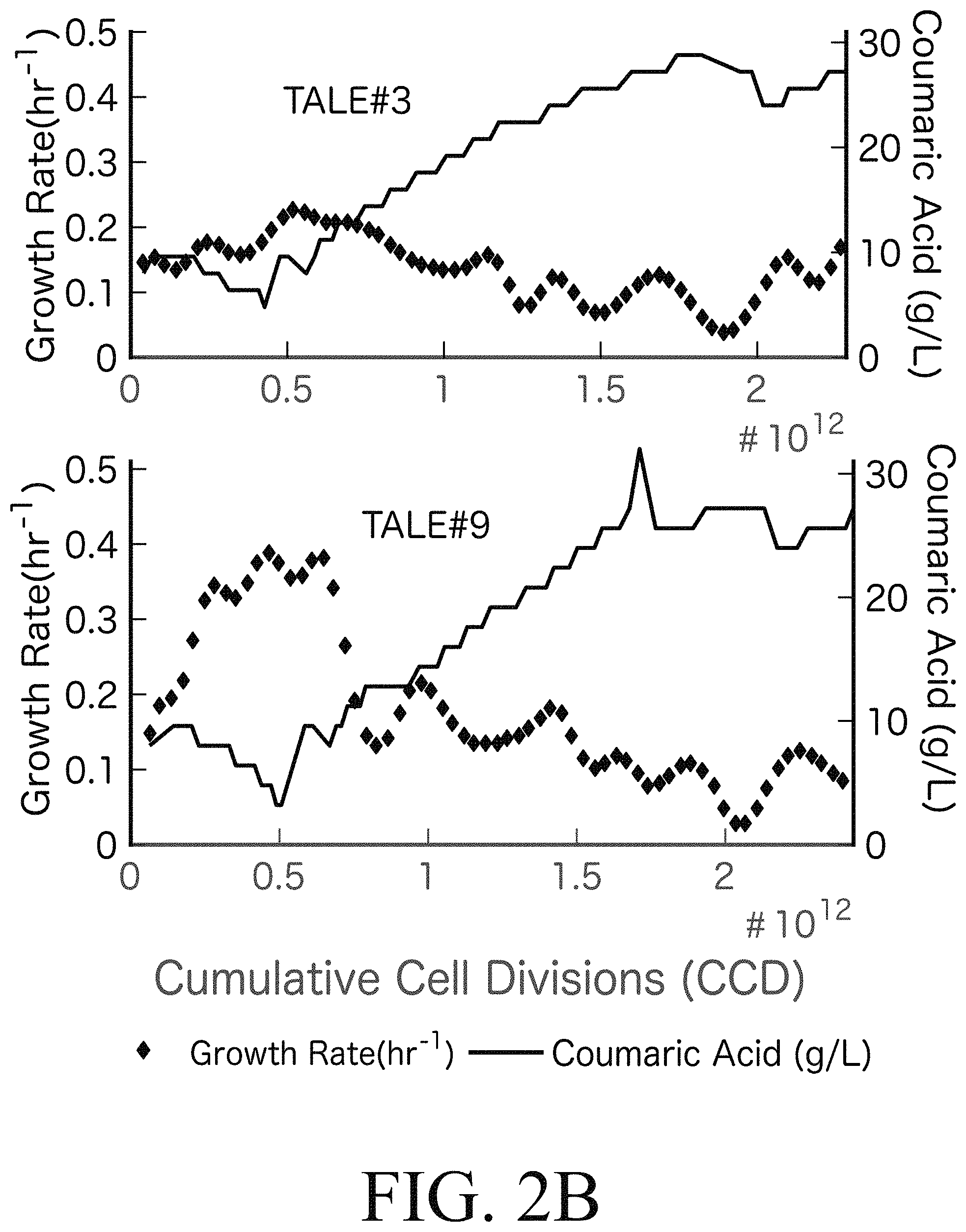 Patent US11781107 Figure 3 – Microorganisms engineered for muconate production