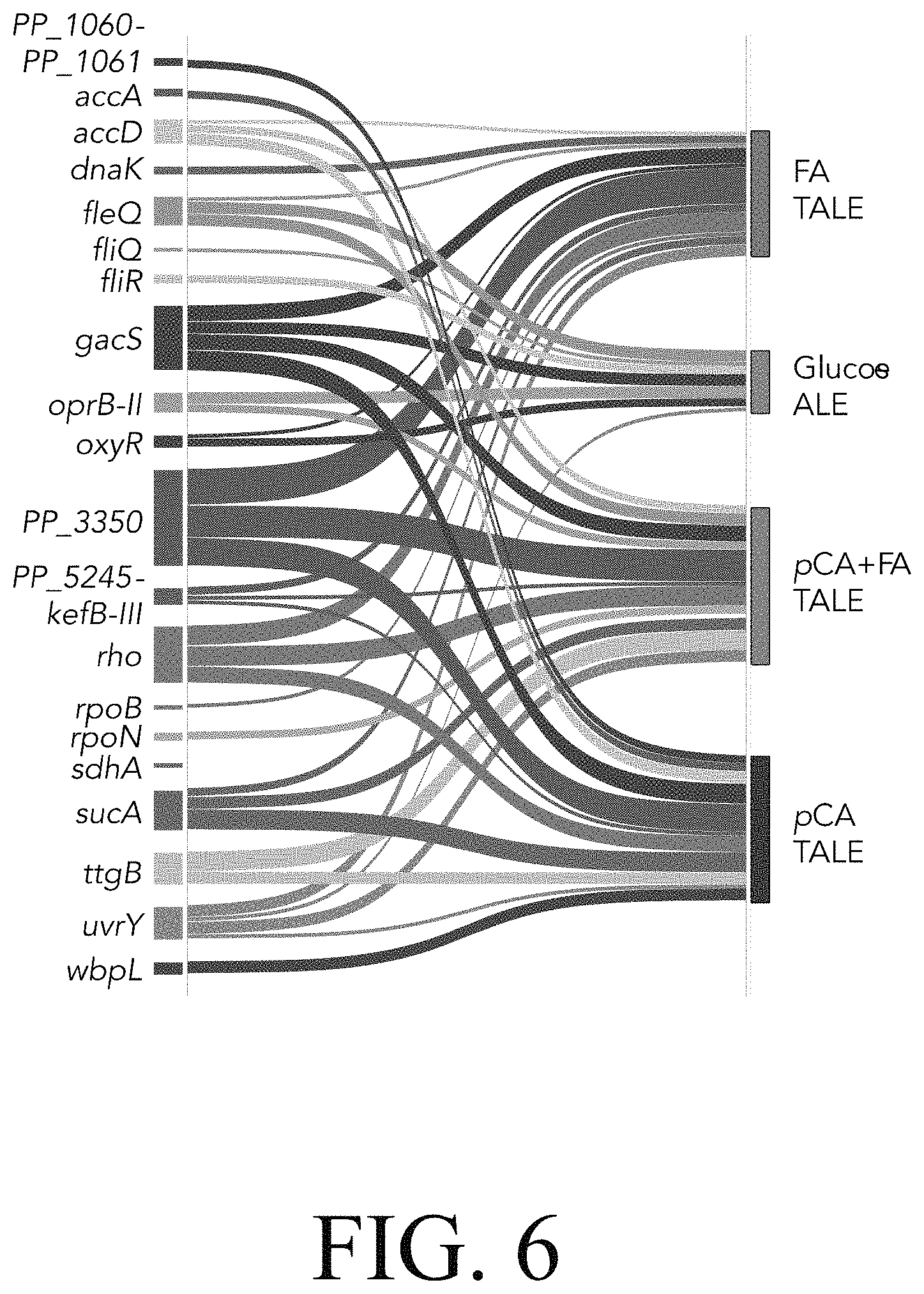 Patent US11781107 Figure 19 – Microorganisms engineered for muconate production