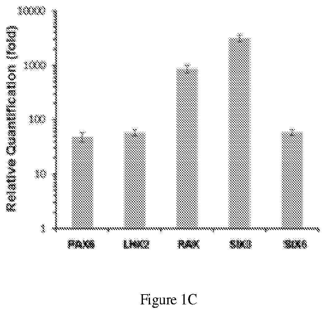Patent US11781110 Figure 2 – Induction of corneal endothelial cells