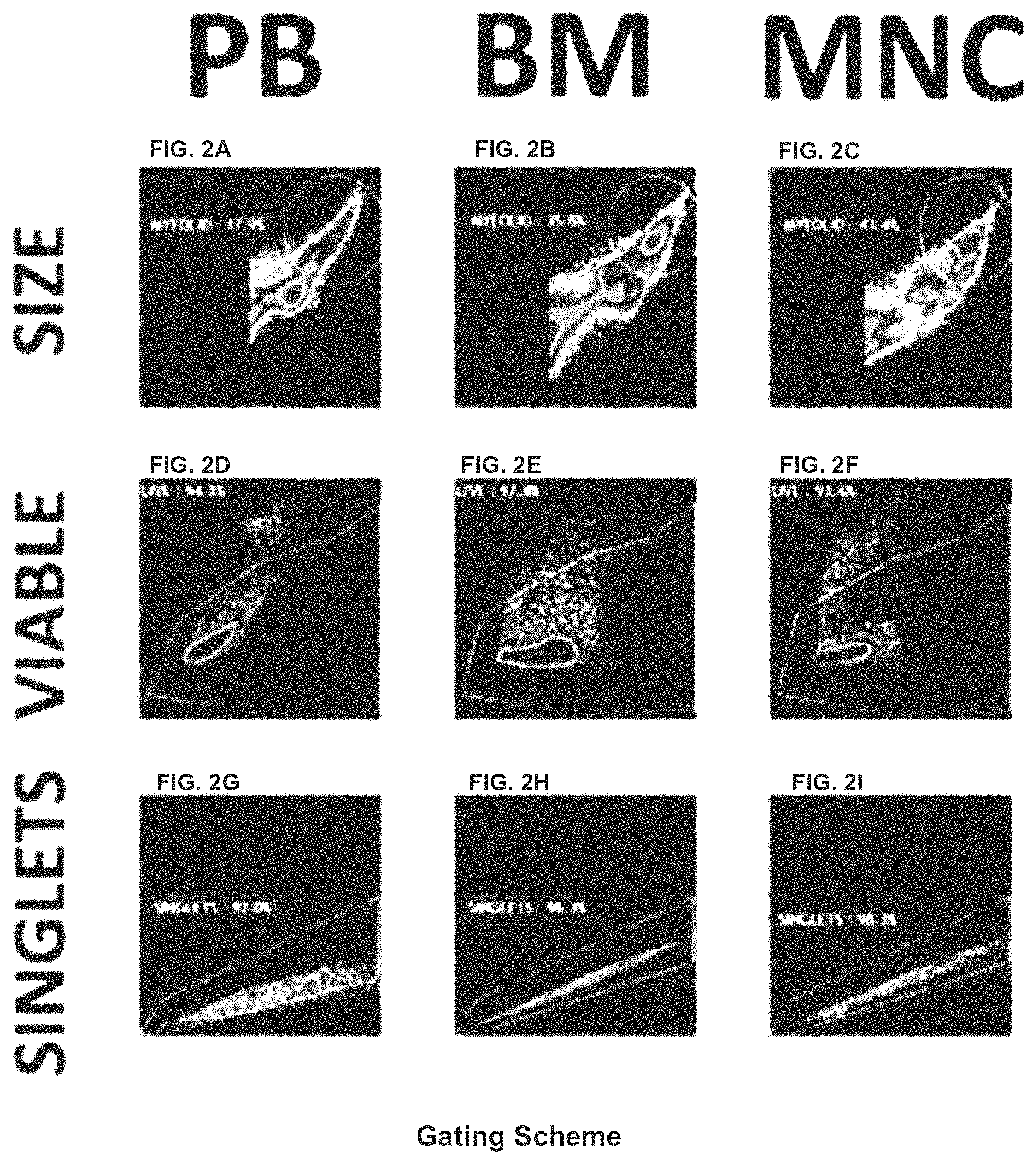 Patent US11781111 Figure 2 – Activation of immune cells