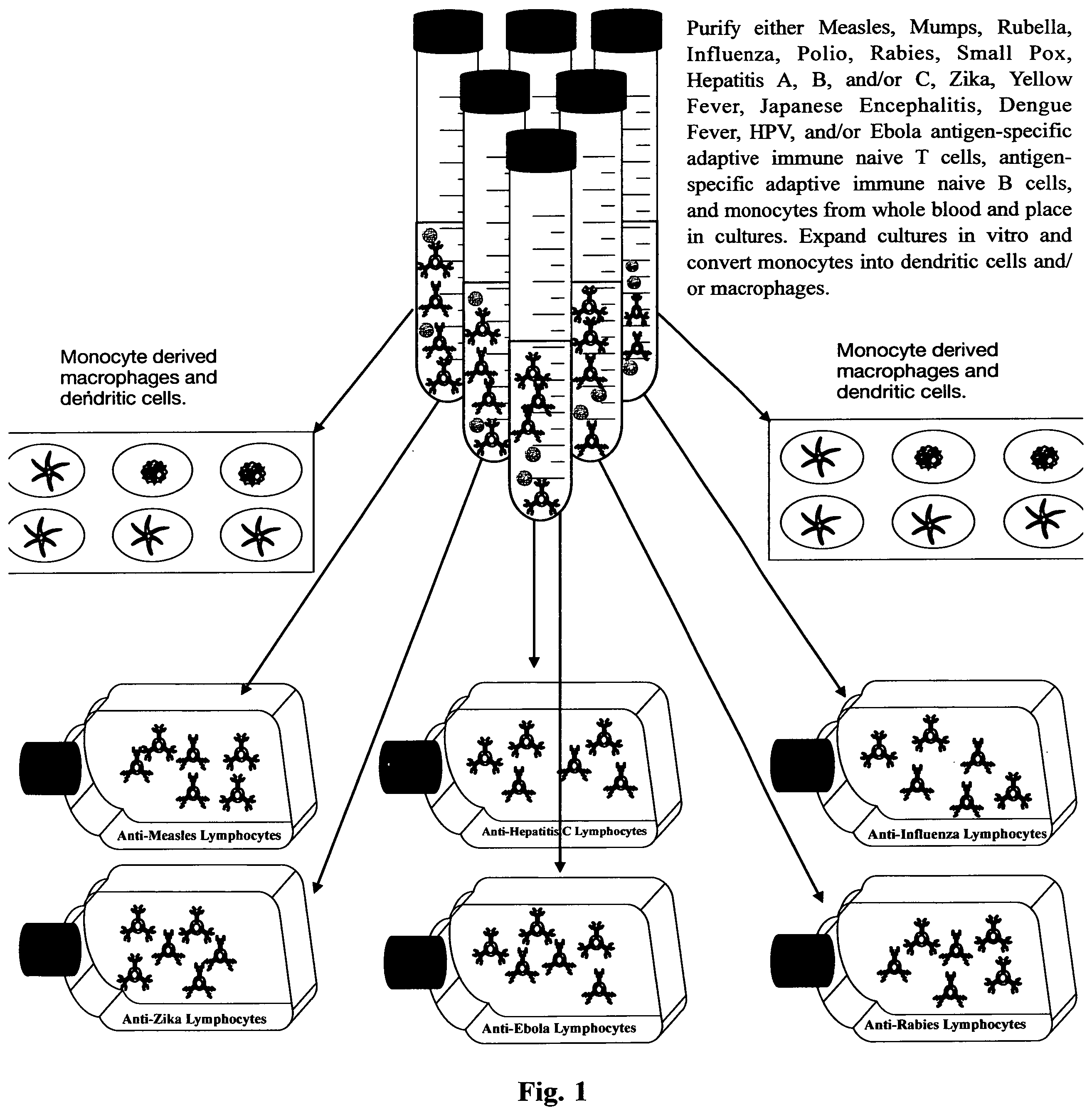 Patent US11781112 — Method of generating antigen-specific immunological memory in a subject that rejects classical vaccines — Figure 1