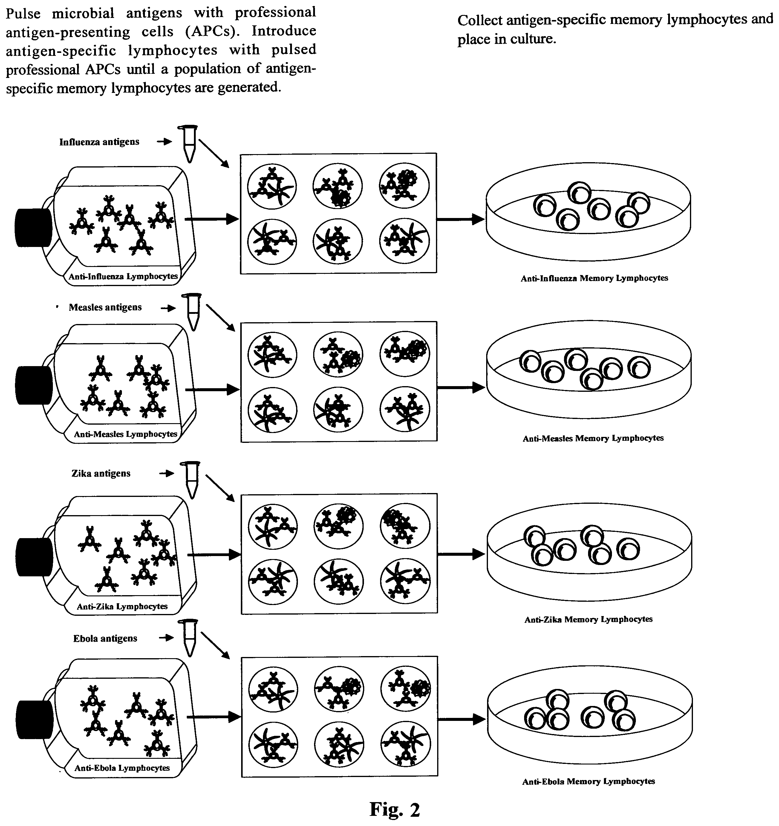 Patent US11781112 Figure 2 – Method of generating antigen-specific immunological memory in a subject that rejects classical vaccines