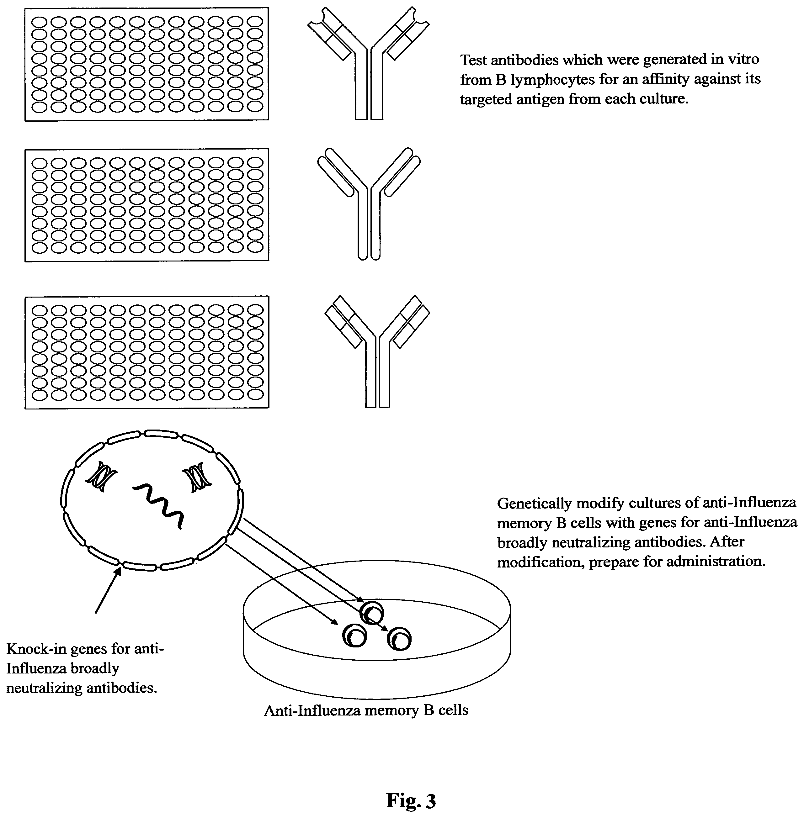 Patent US11781112 Figure 3 – Method of generating antigen-specific immunological memory in a subject that rejects classical vaccines