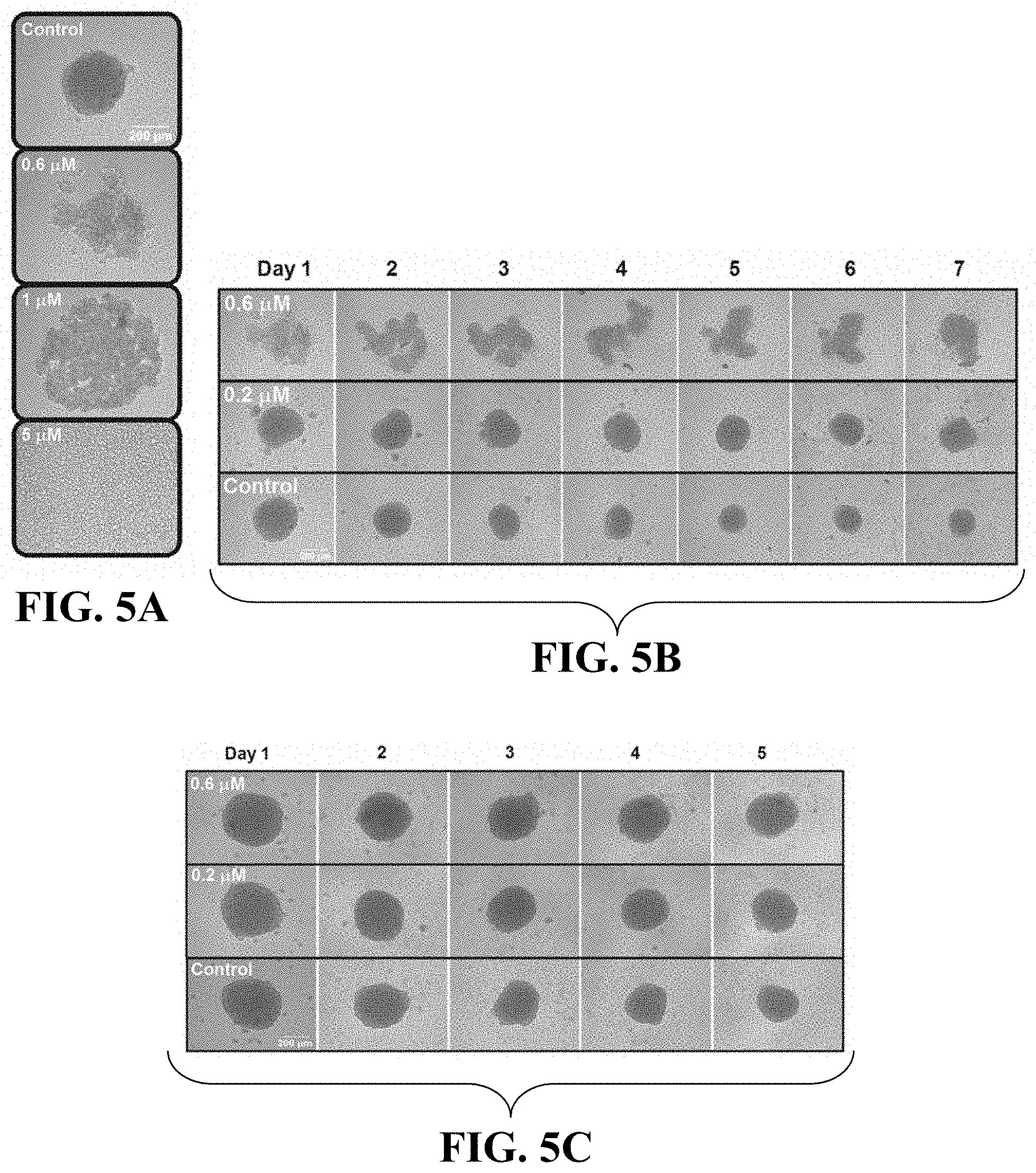 Patent US11781114 Figure 7 – Materials and methods for expansion of stem cells