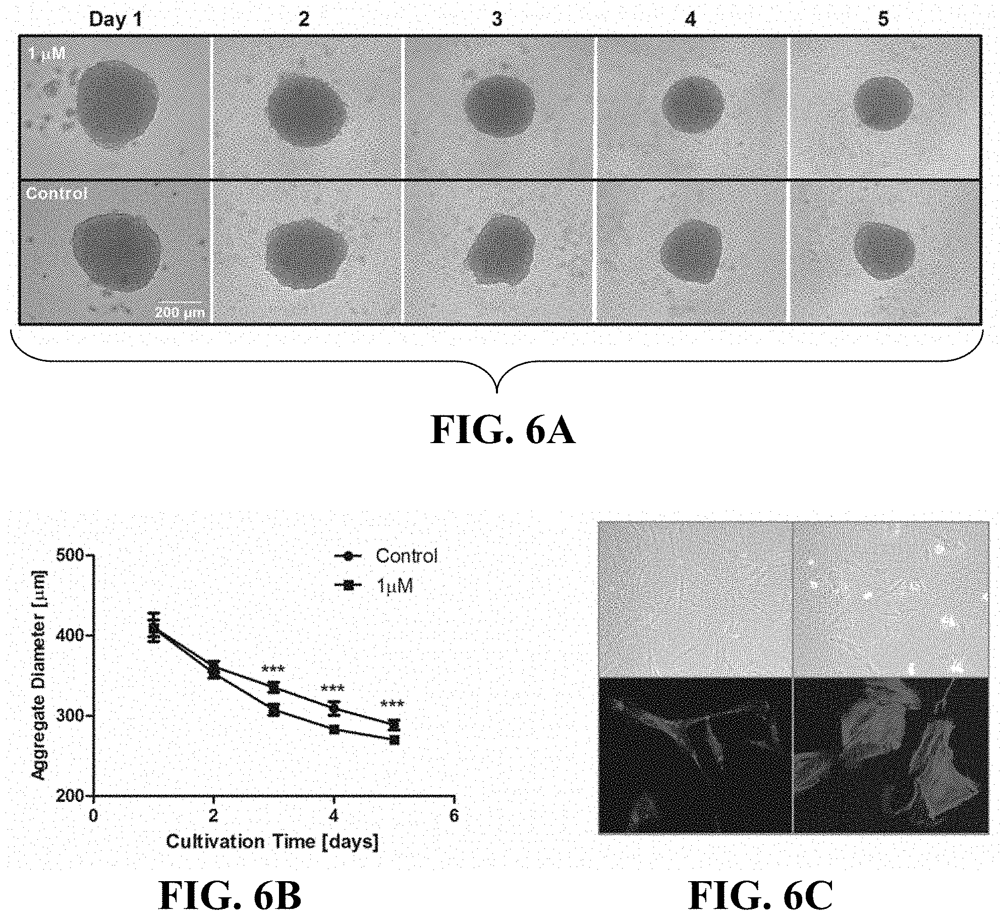 Patent US11781114 Figure 9 – Materials and methods for expansion of stem cells