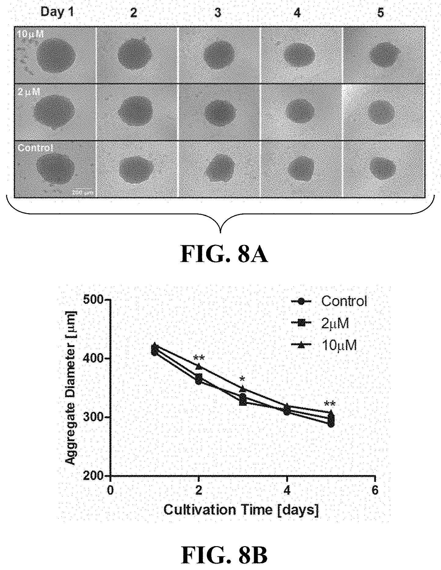 Patent US11781114 Figure 12 – Materials and methods for expansion of stem cells