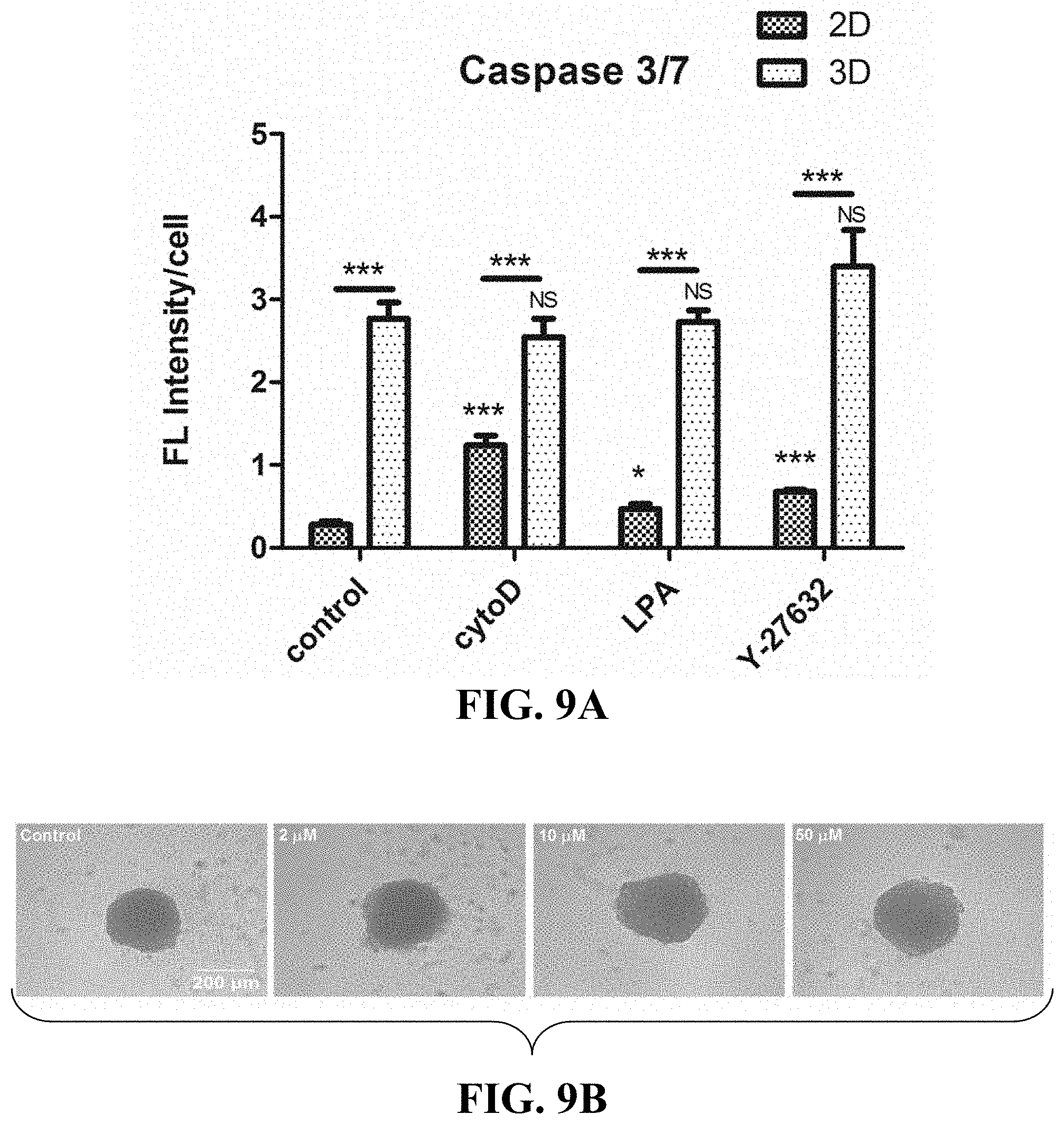 Patent US11781114 Figure 14 – Materials and methods for expansion of stem cells